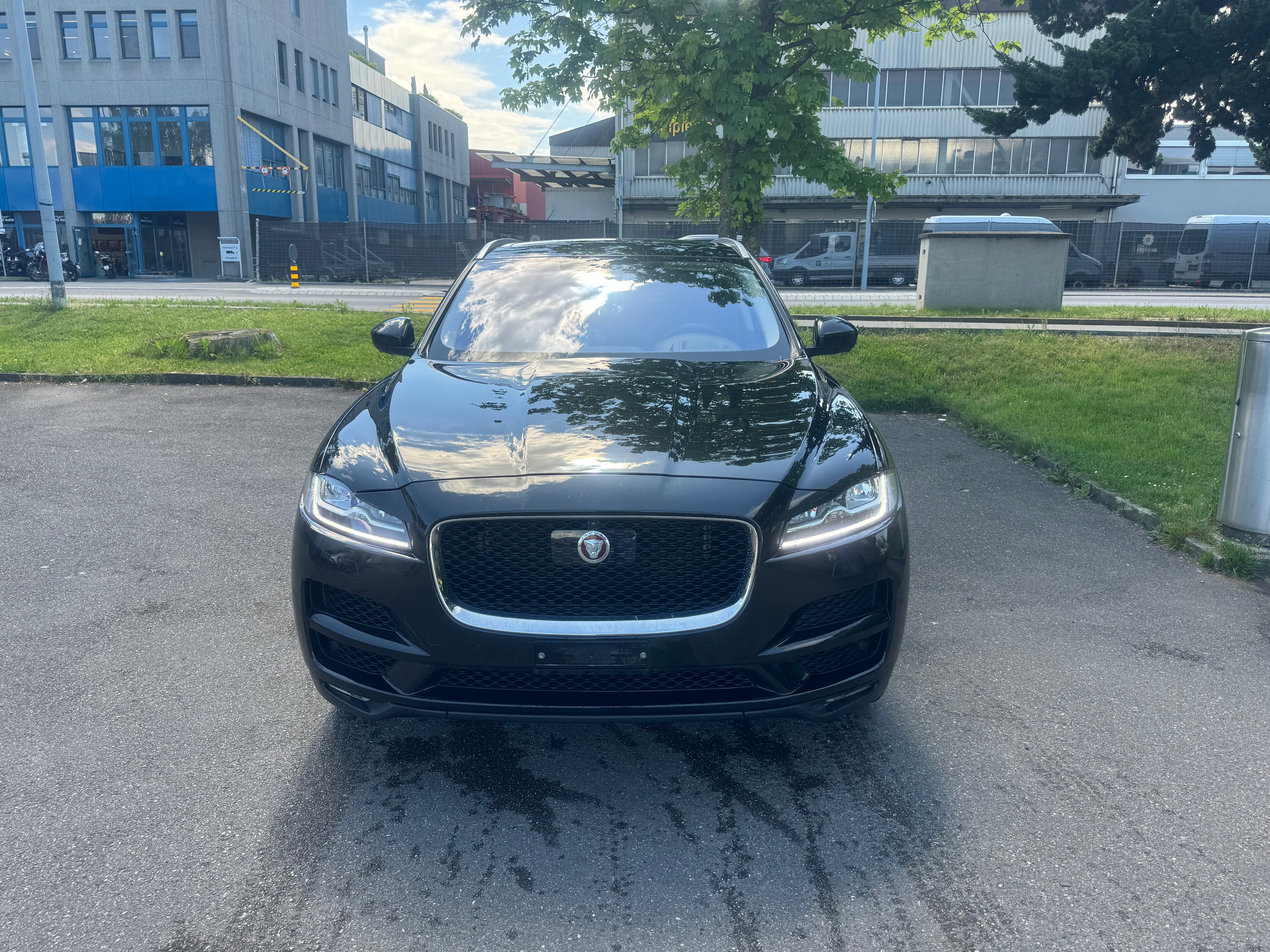 JAGUAR F-Pace 3.0 TD First Edition AWD Automatik