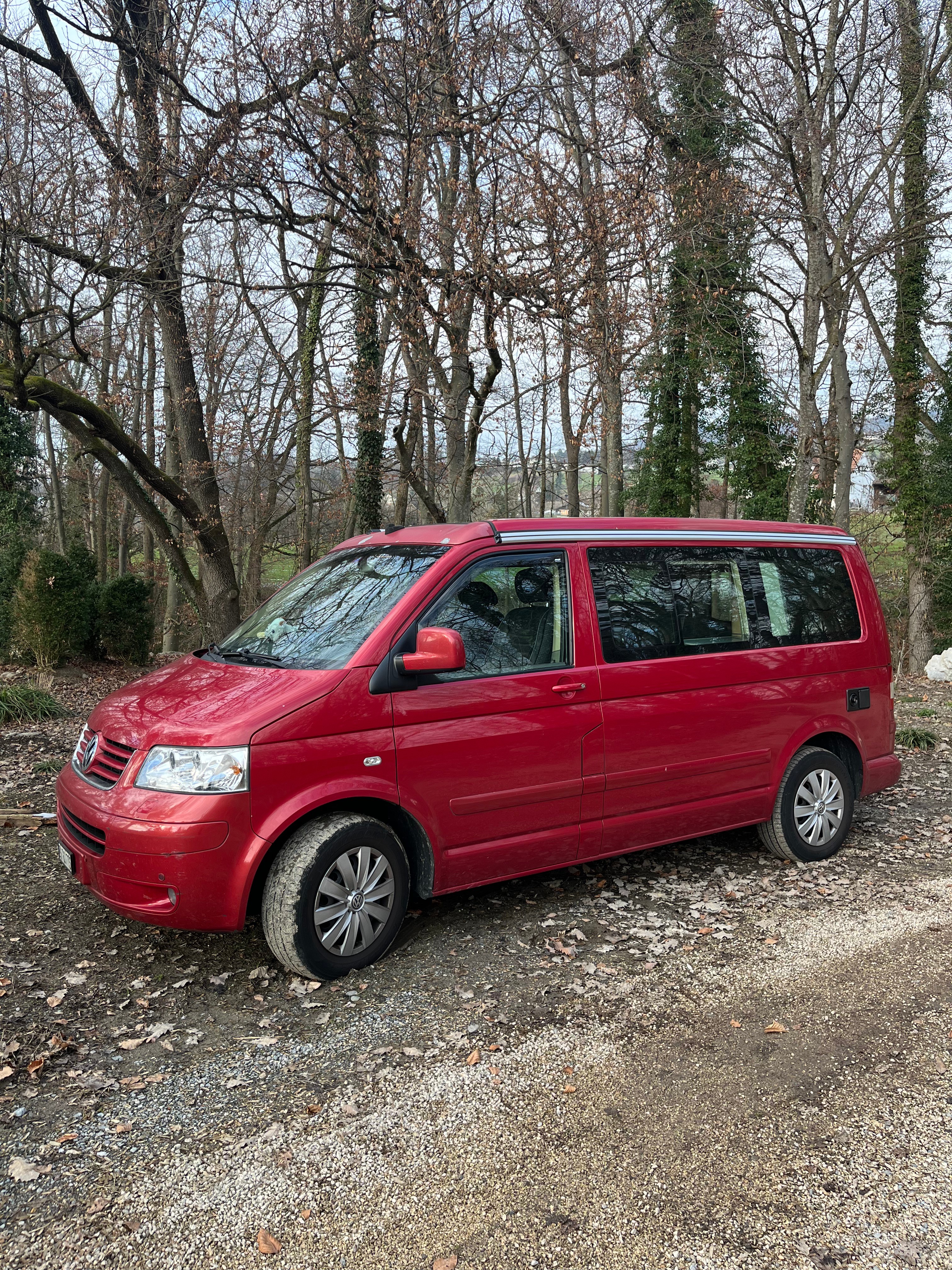 VW California