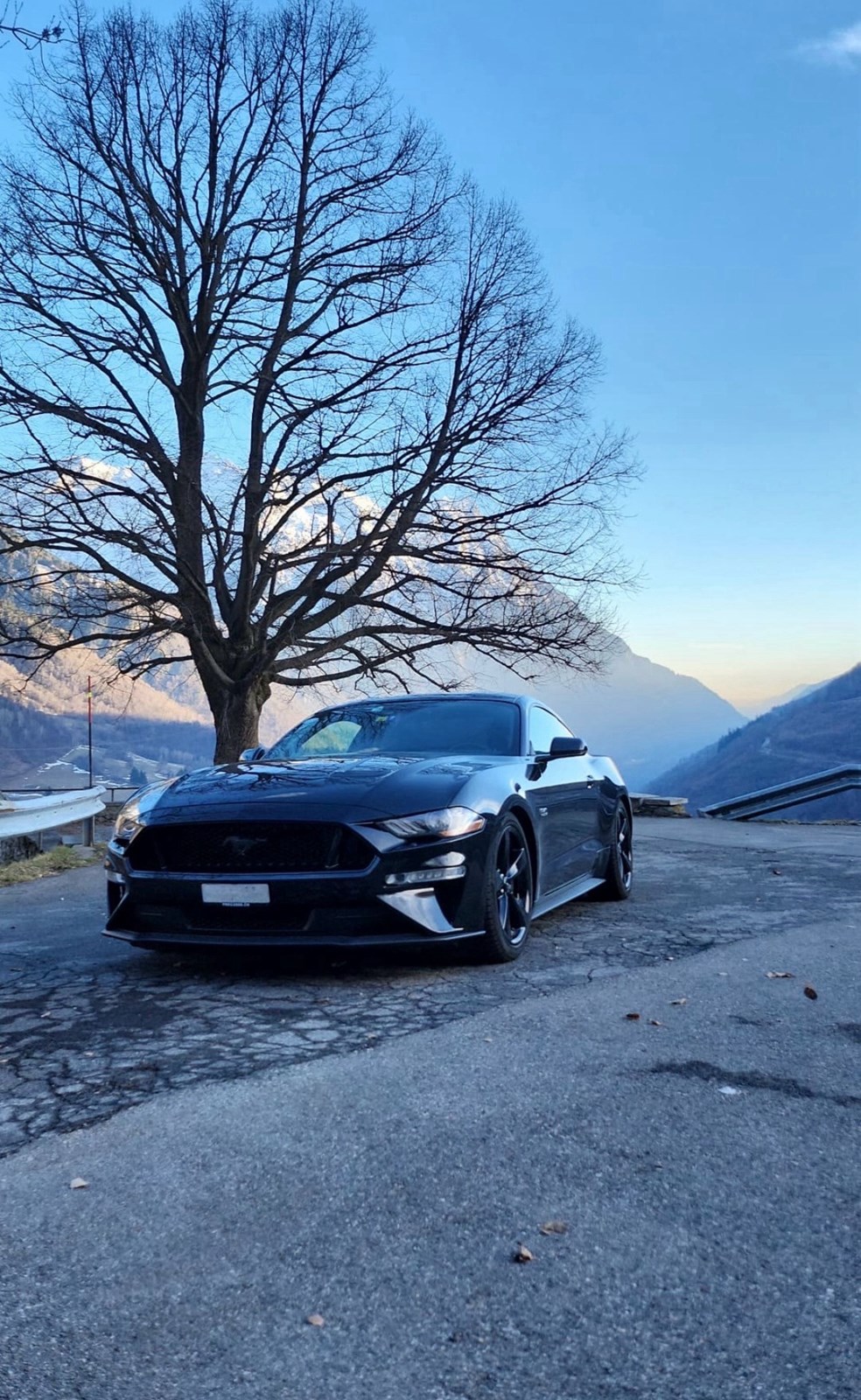 FORD Mustang Fastback 5.0 V8 GT Automat