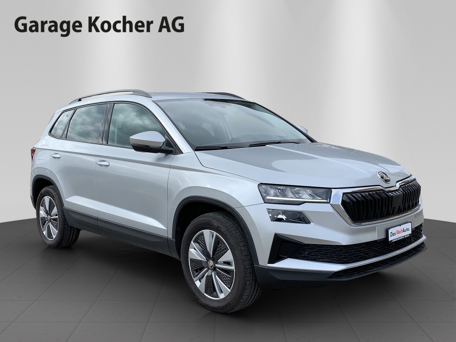 SKODA Karoq 2.0 TDI CR Ambition 4x4 DSG