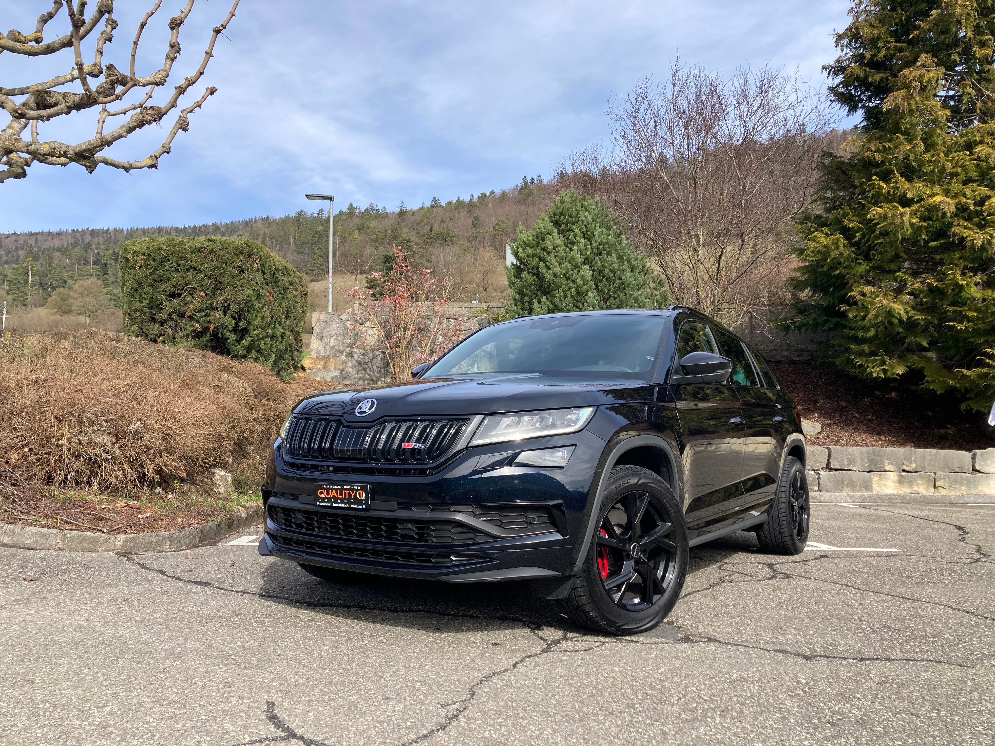 SKODA Kodiaq 2.0 Bi-TDI SCR RS 4x4 DSG