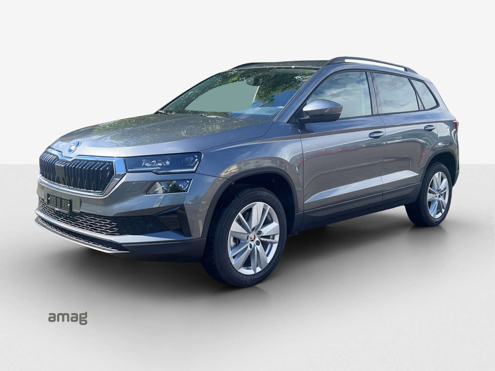 SKODA Karoq 1.5 TSI Selection DSG