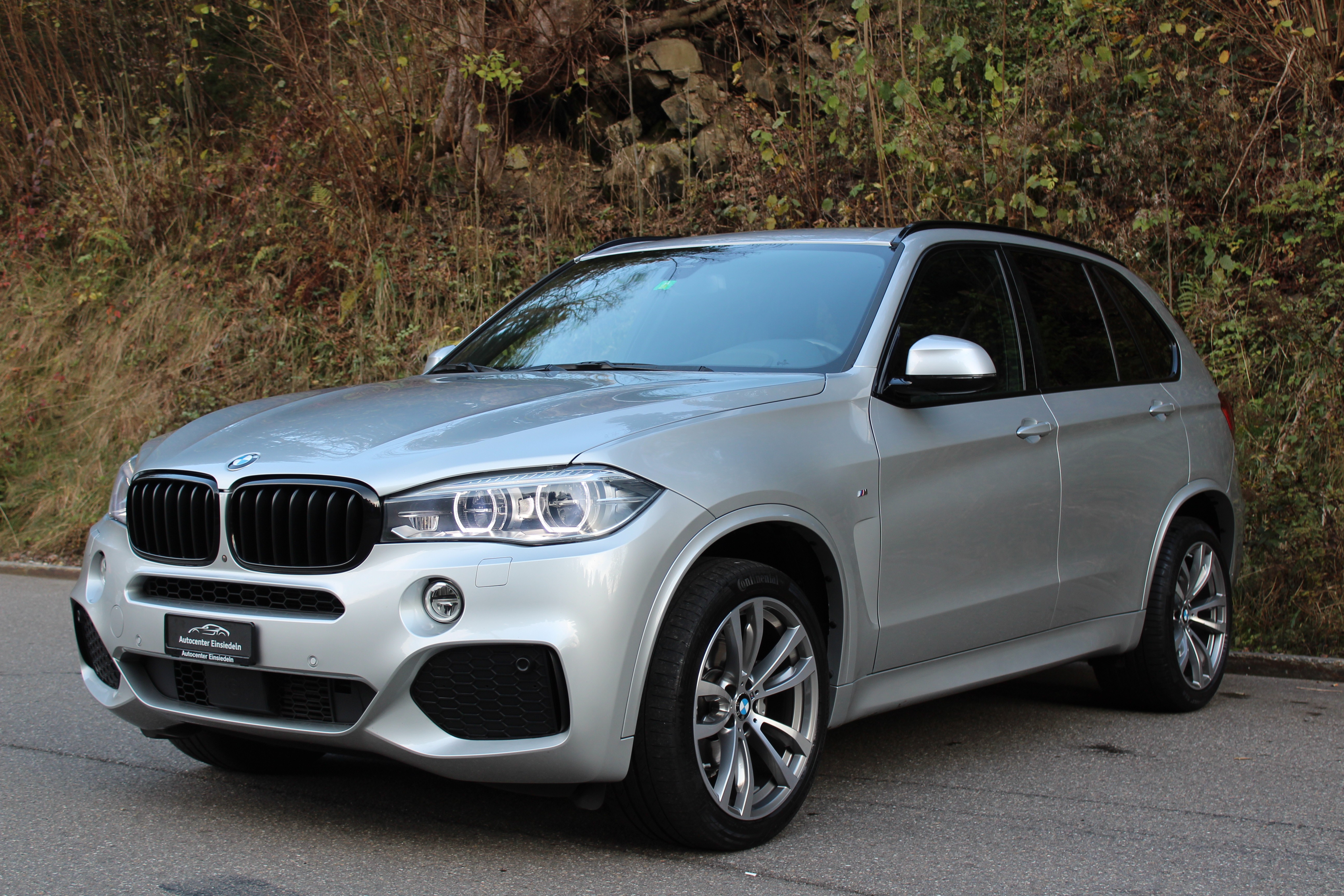 BMW X5 xDrive 30d Pure M Sport Steptronic