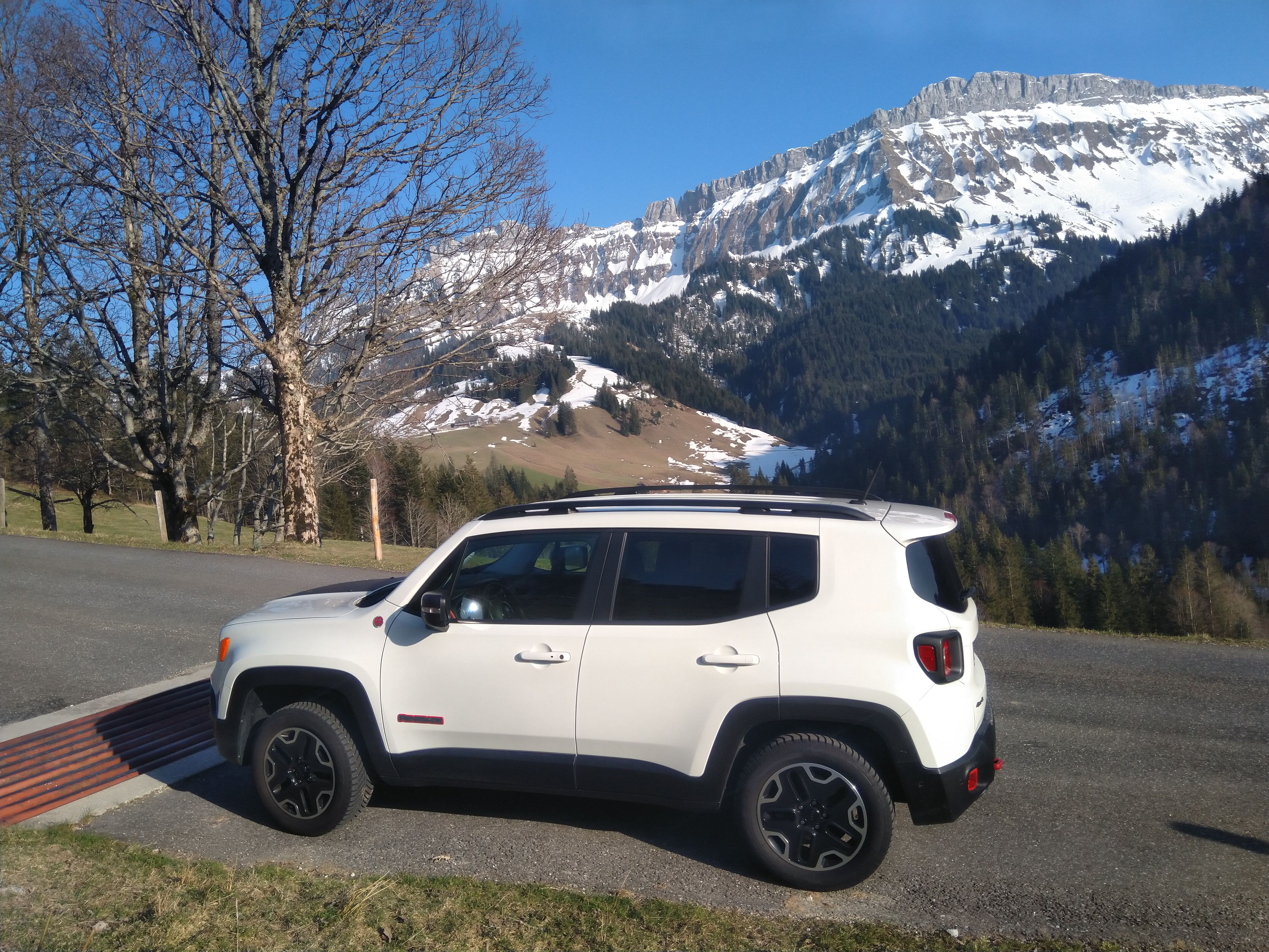 JEEP Renegade 2.0 CRD Trailhawk AWD + Low Range 9ATX