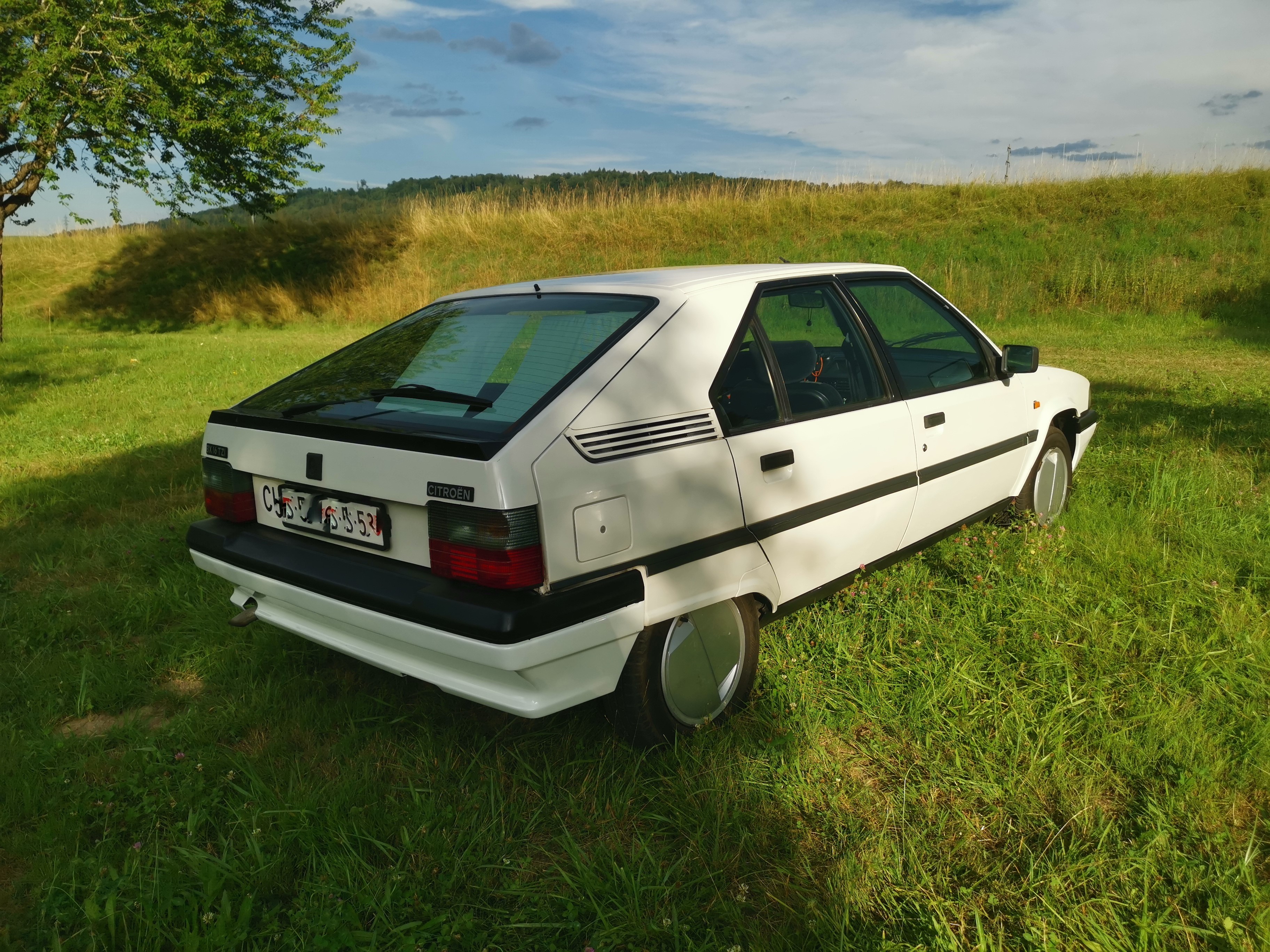 CITROEN BX Sedan 16 STAR (TZI)