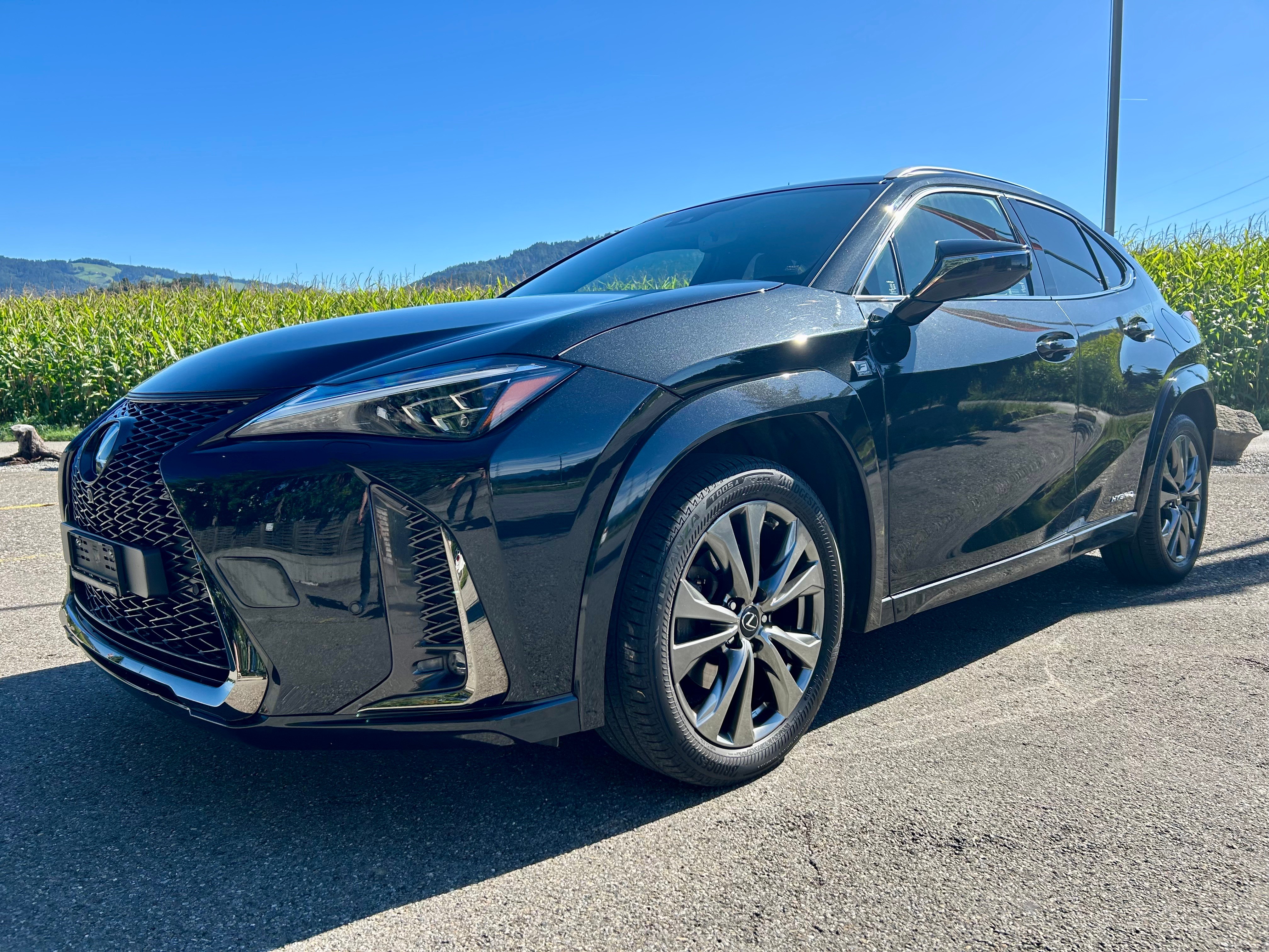 LEXUS UX 250h F Sport AWD Automatic