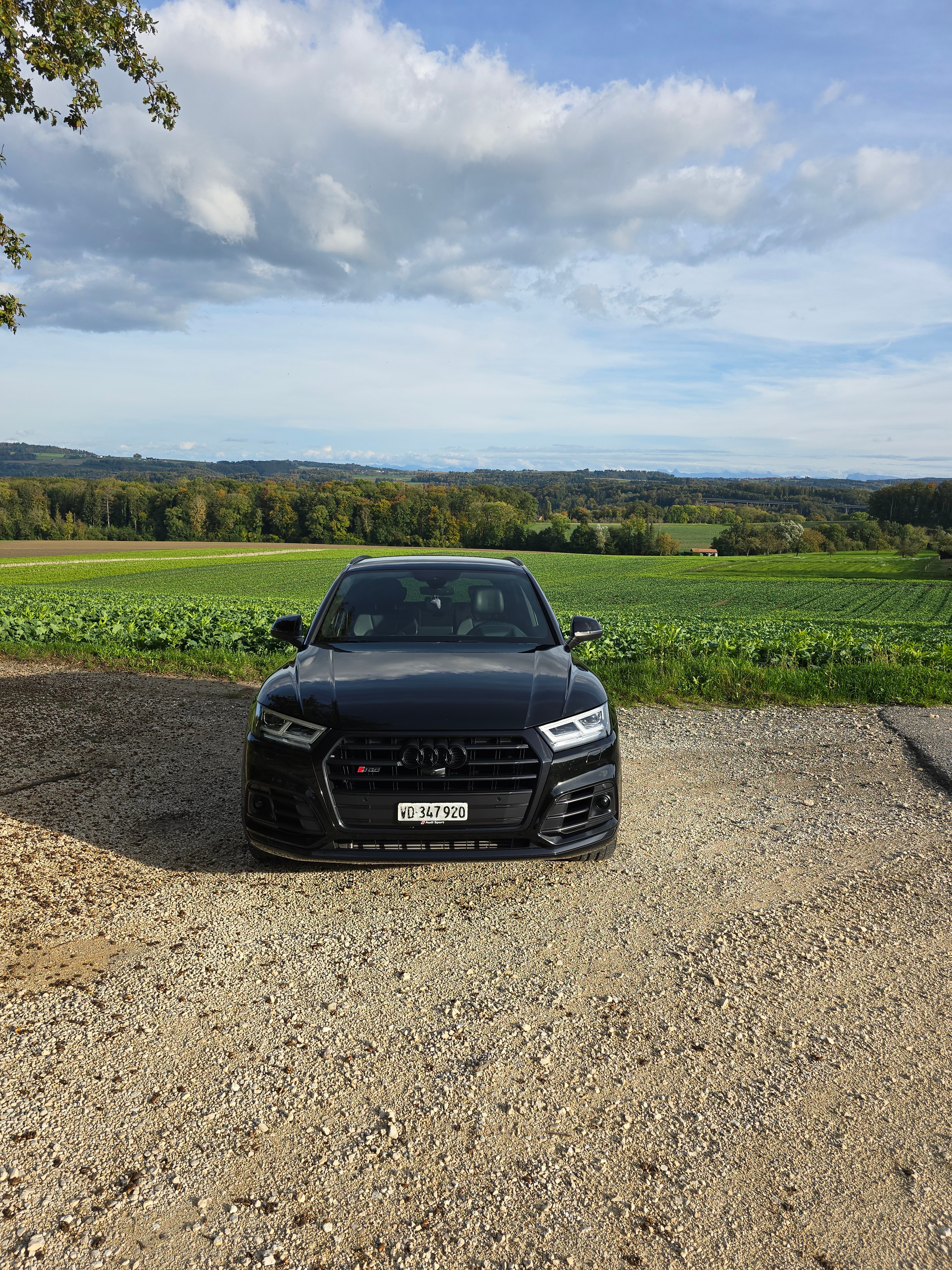 AUDI SQ5 TDI quattro tiptronic