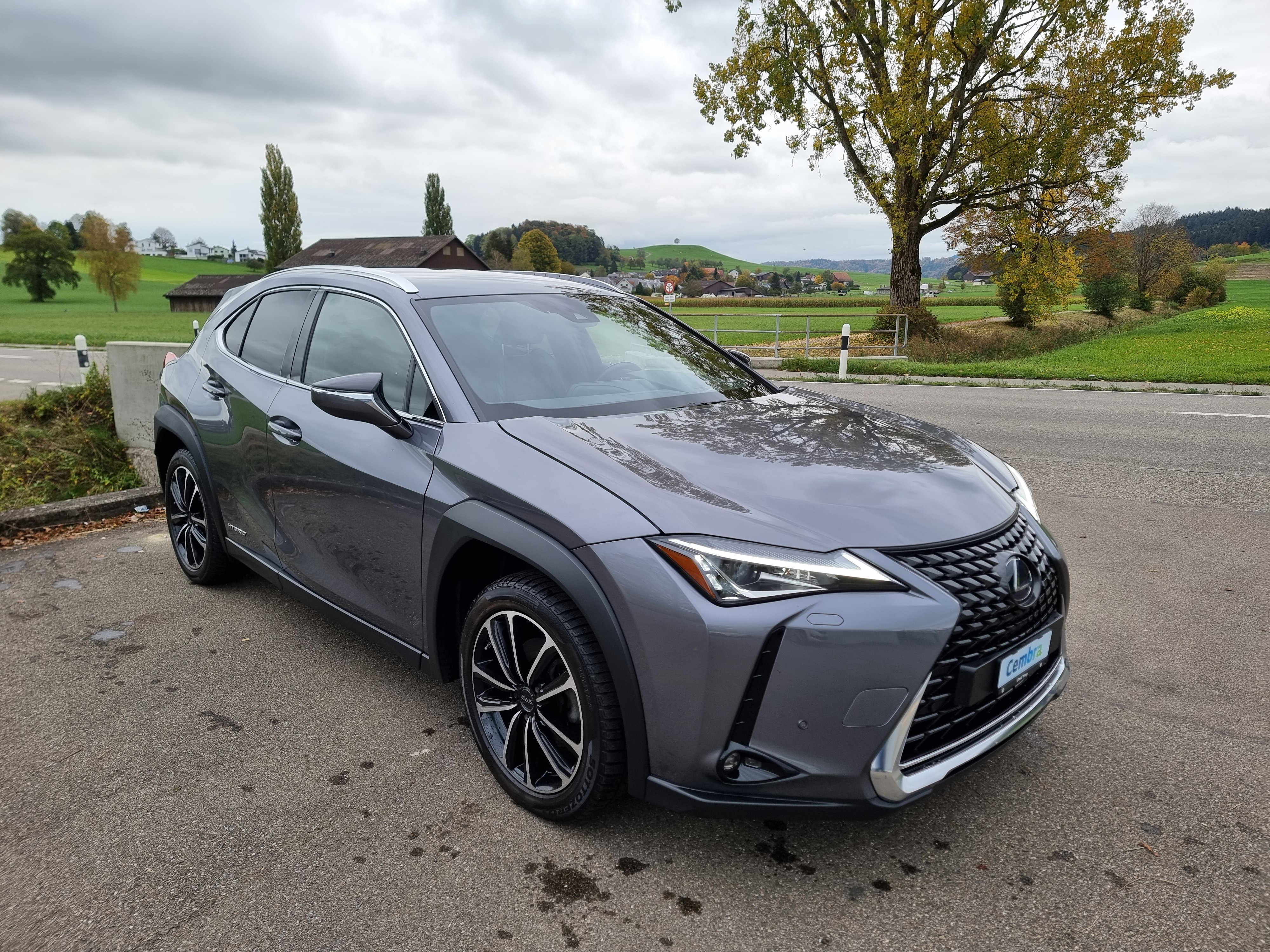 LEXUS UX 250h Comfort AWD Automatic