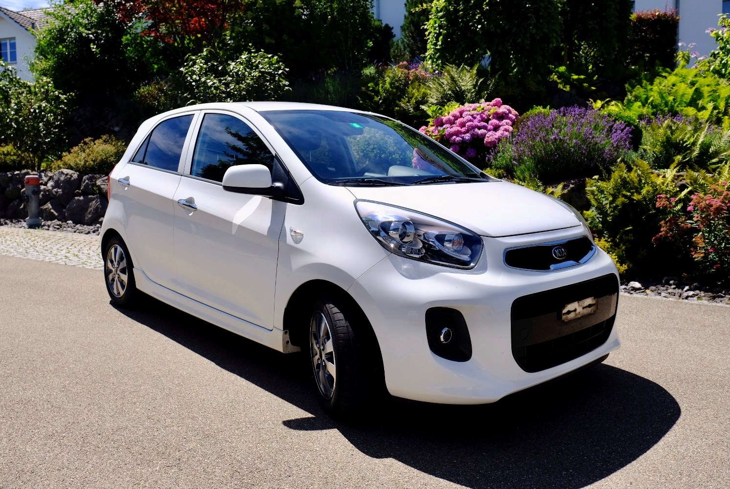 KIA Picanto 1.2 CVVT Swiss Champion