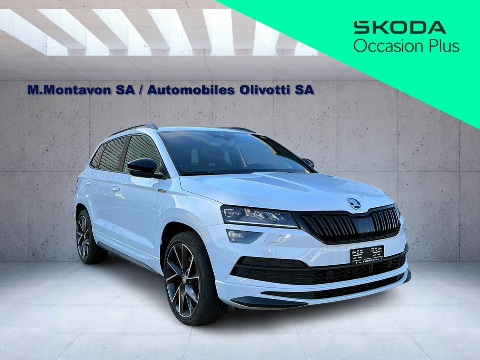 SKODA Karoq 2.0 TDI SCR Style 4x4 DSG