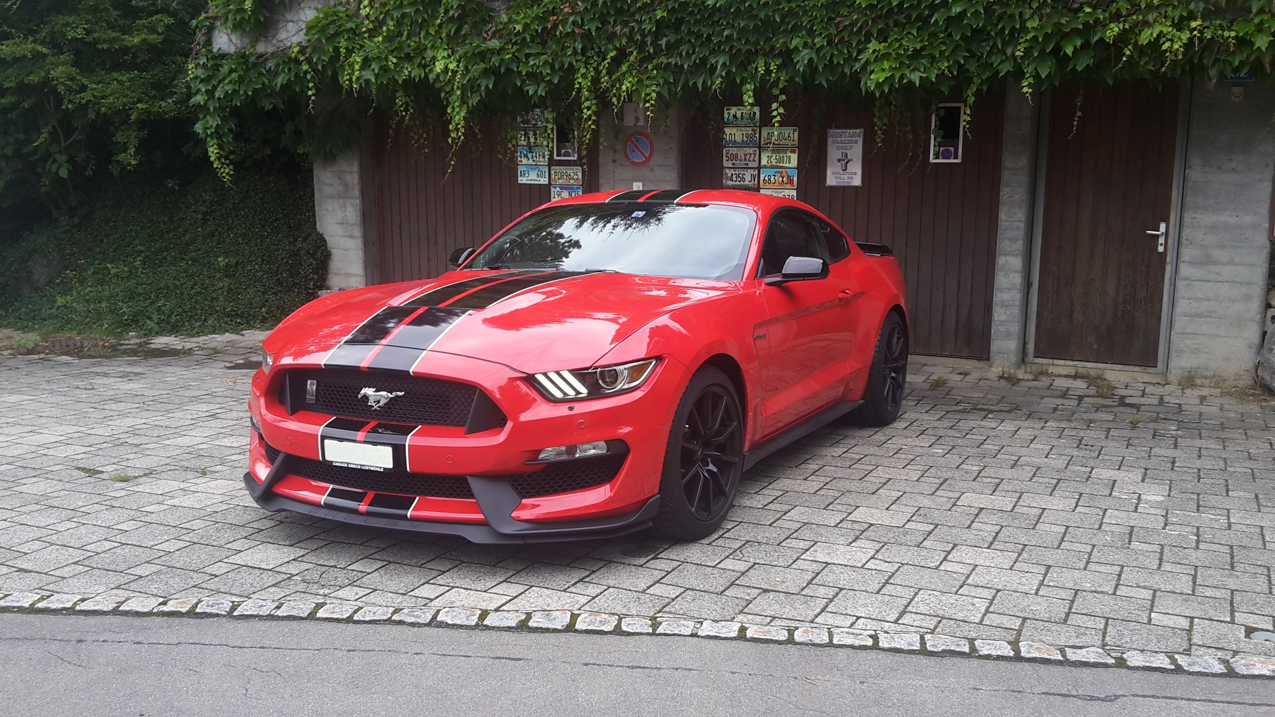 FORD MUSTANG Shelby GT350