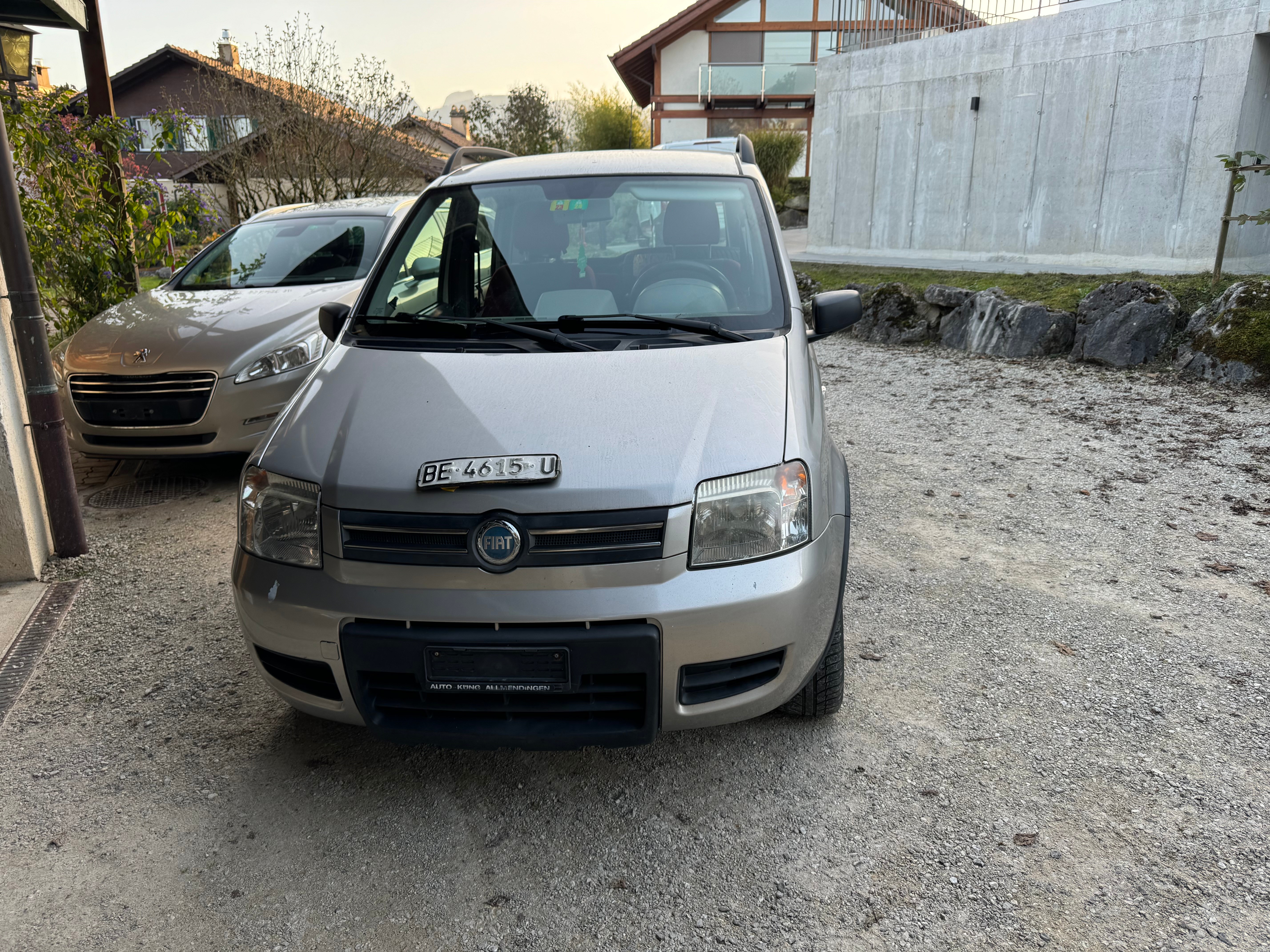 FIAT Panda 1.3 16V JTD 4x4 (Trekking)