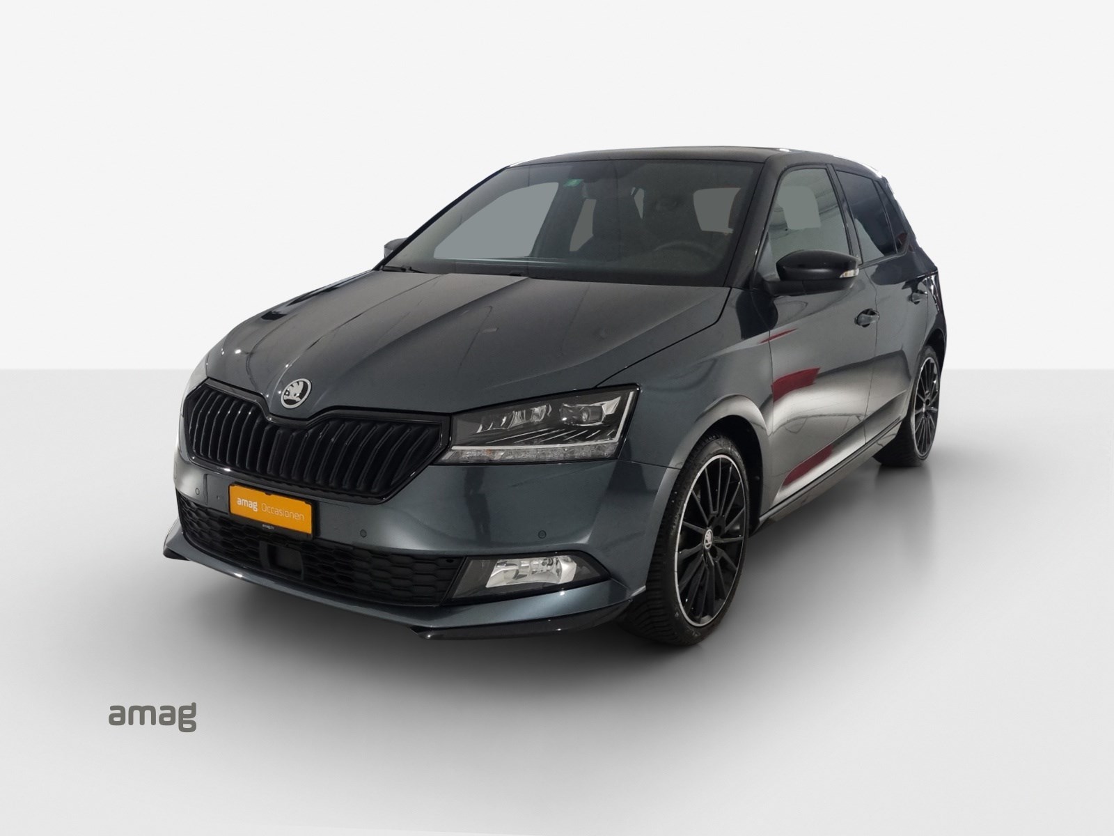 SKODA Fabia 1.0 TSI Monte Carlo DSG