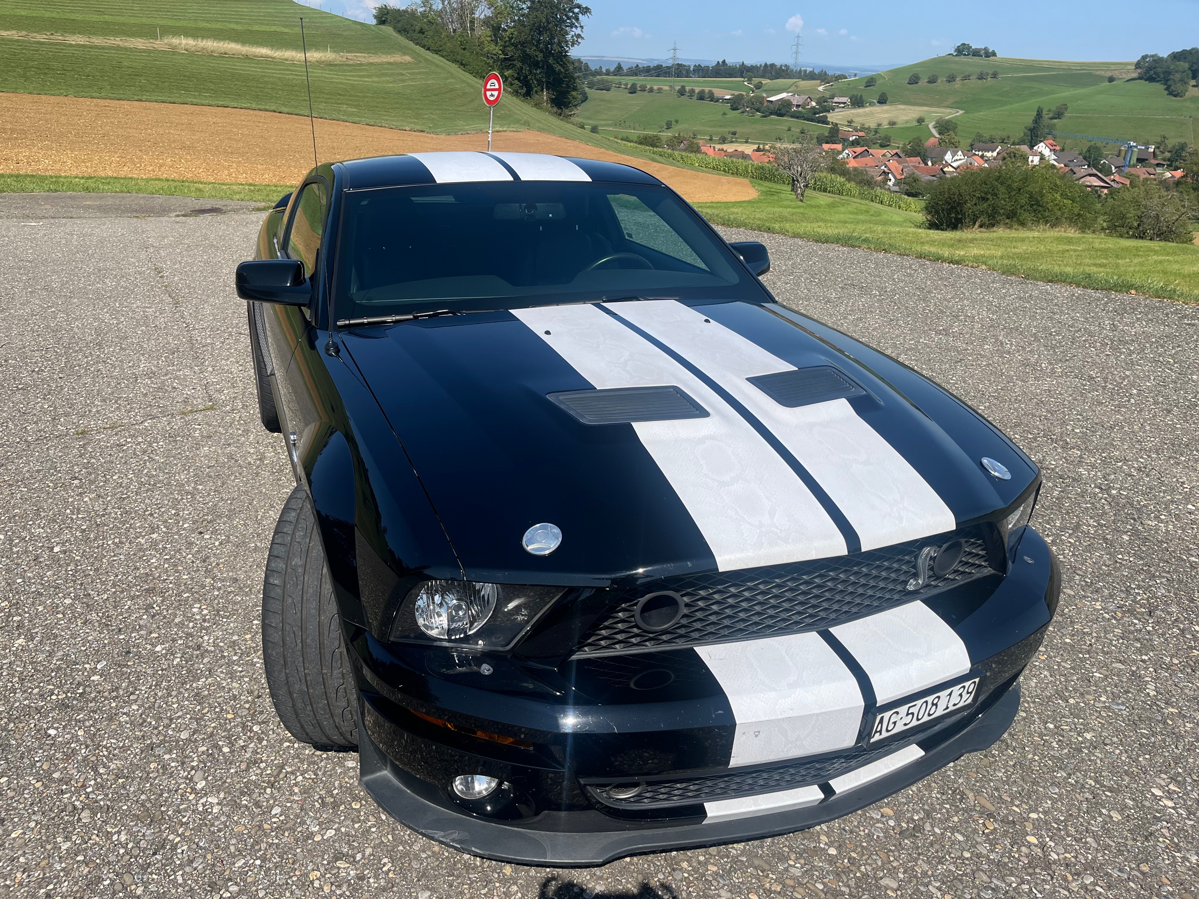 FORD Shelby GT 500