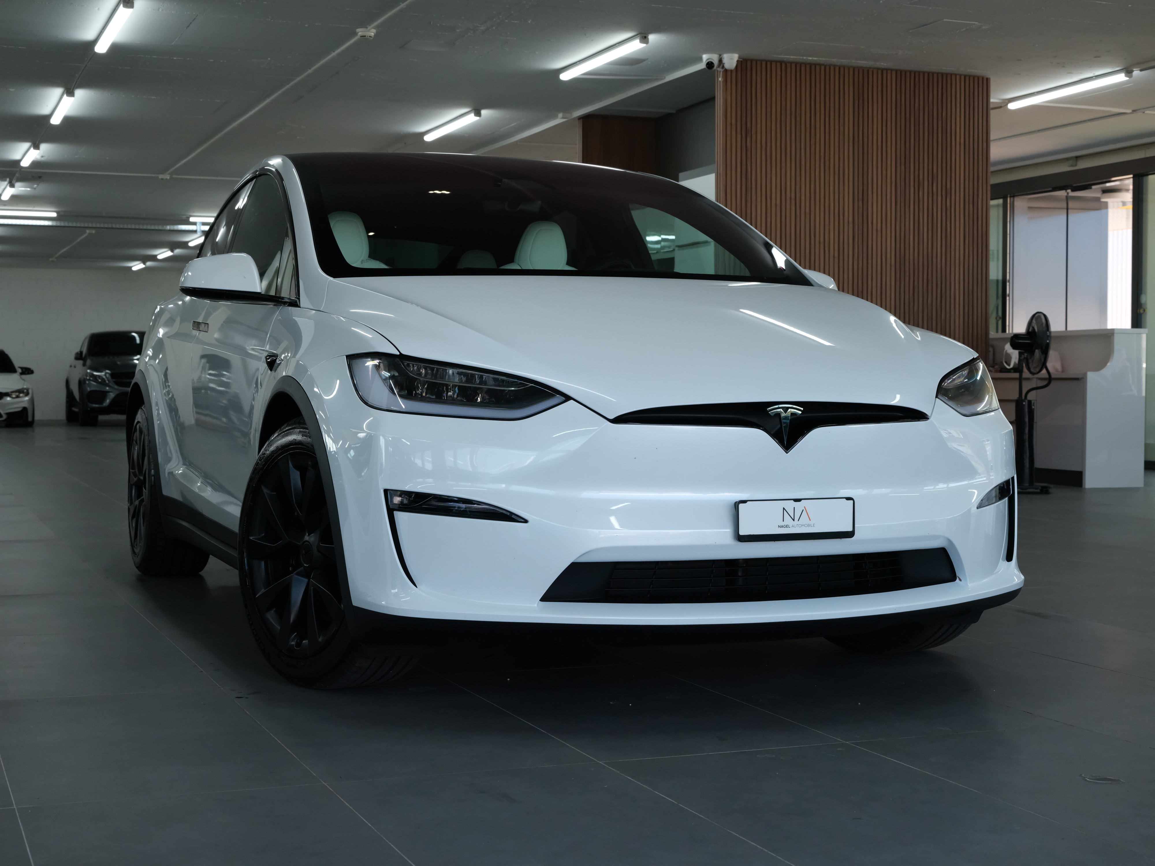 TESLA Model X 100kWh Palladium