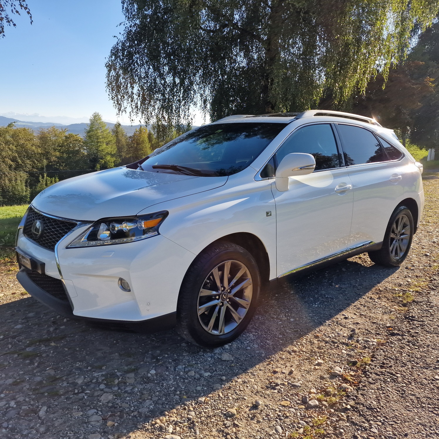 LEXUS RX 450h F-Sport AWD Automatic