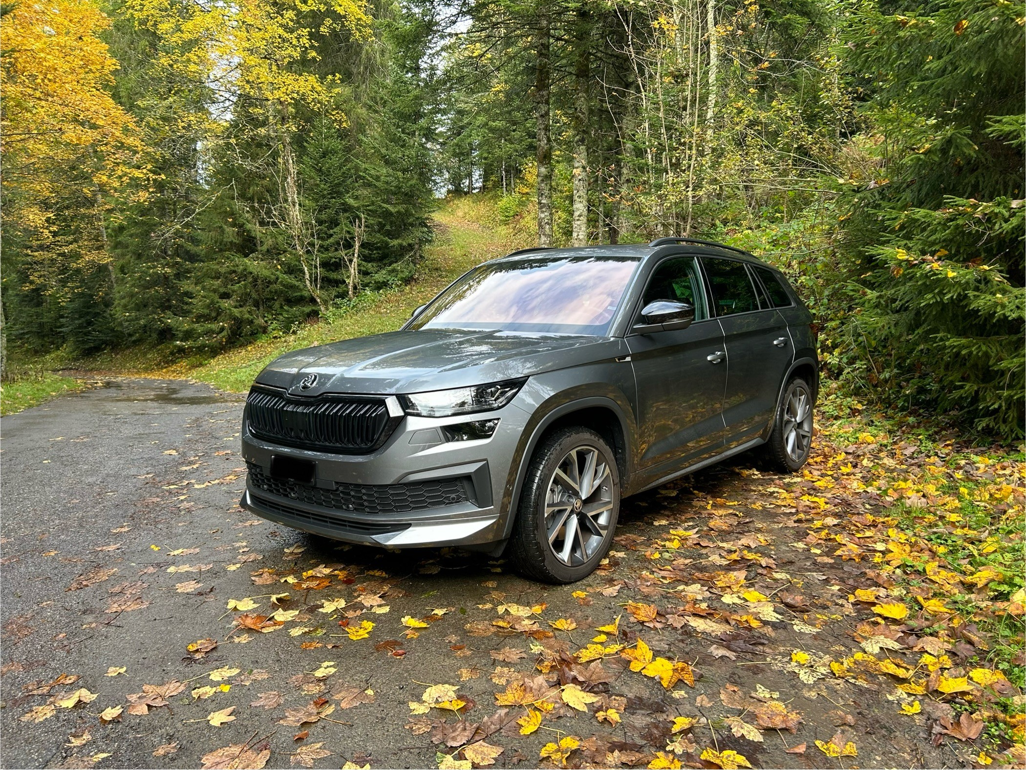 SKODA Kodiaq 2.0 TSI 4x4 SportLine