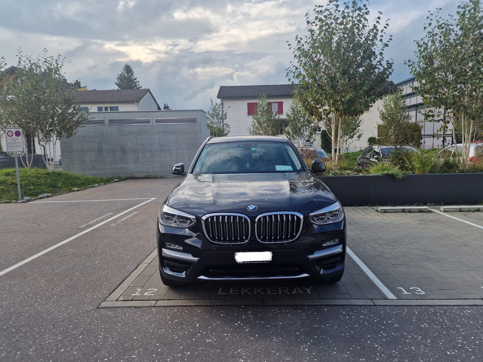 BMW X3 xDrive 30i Luxury Line Steptronic