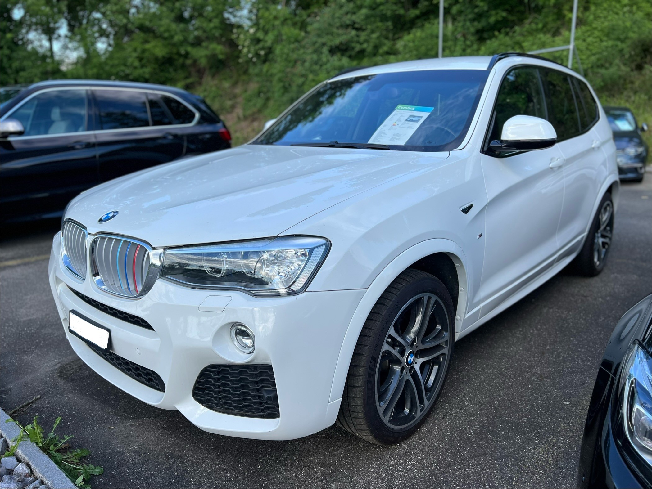 BMW X3 xDrive 30d xLine Steptronic