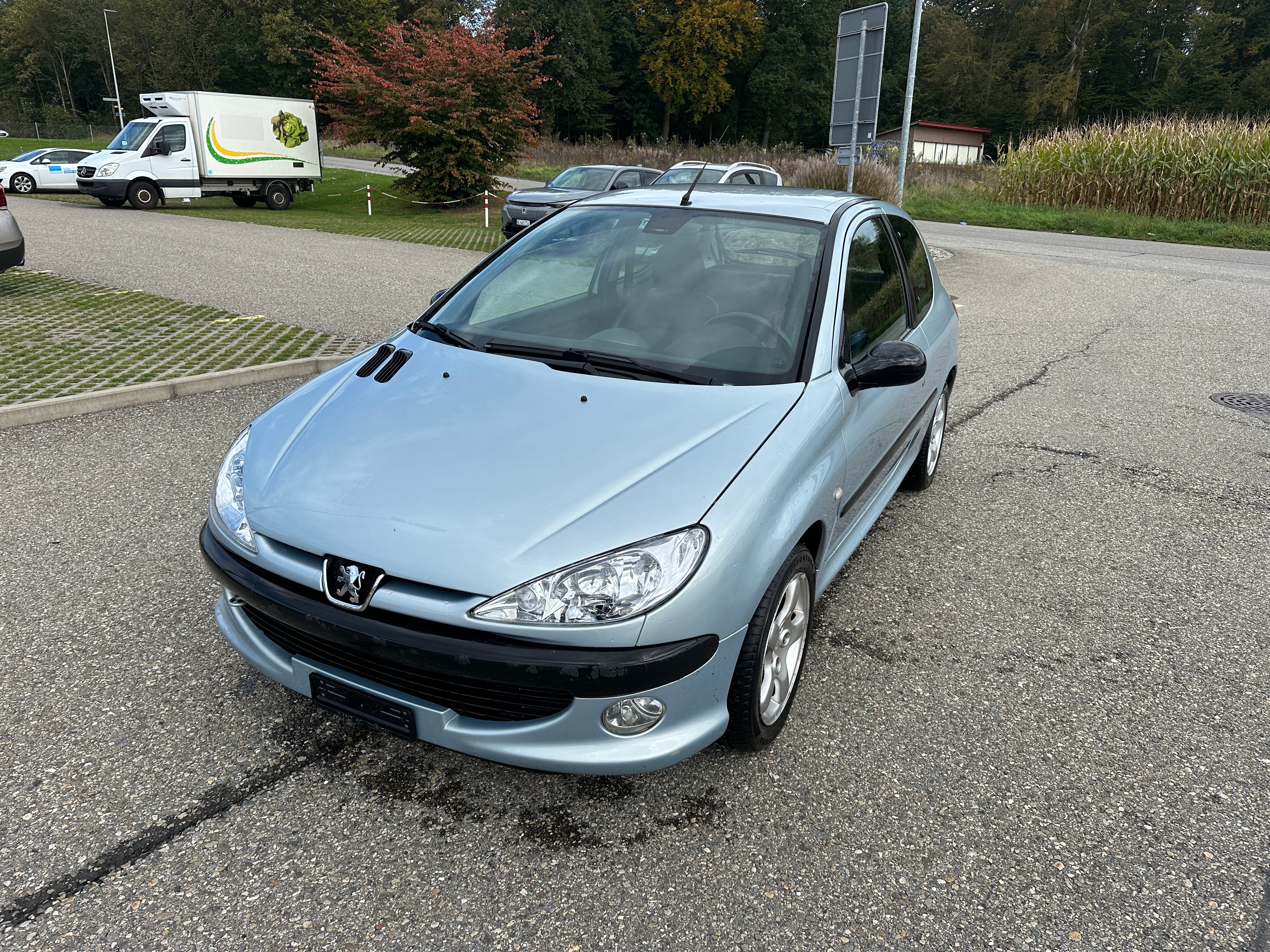 PEUGEOT 206 2.0 16V GTI