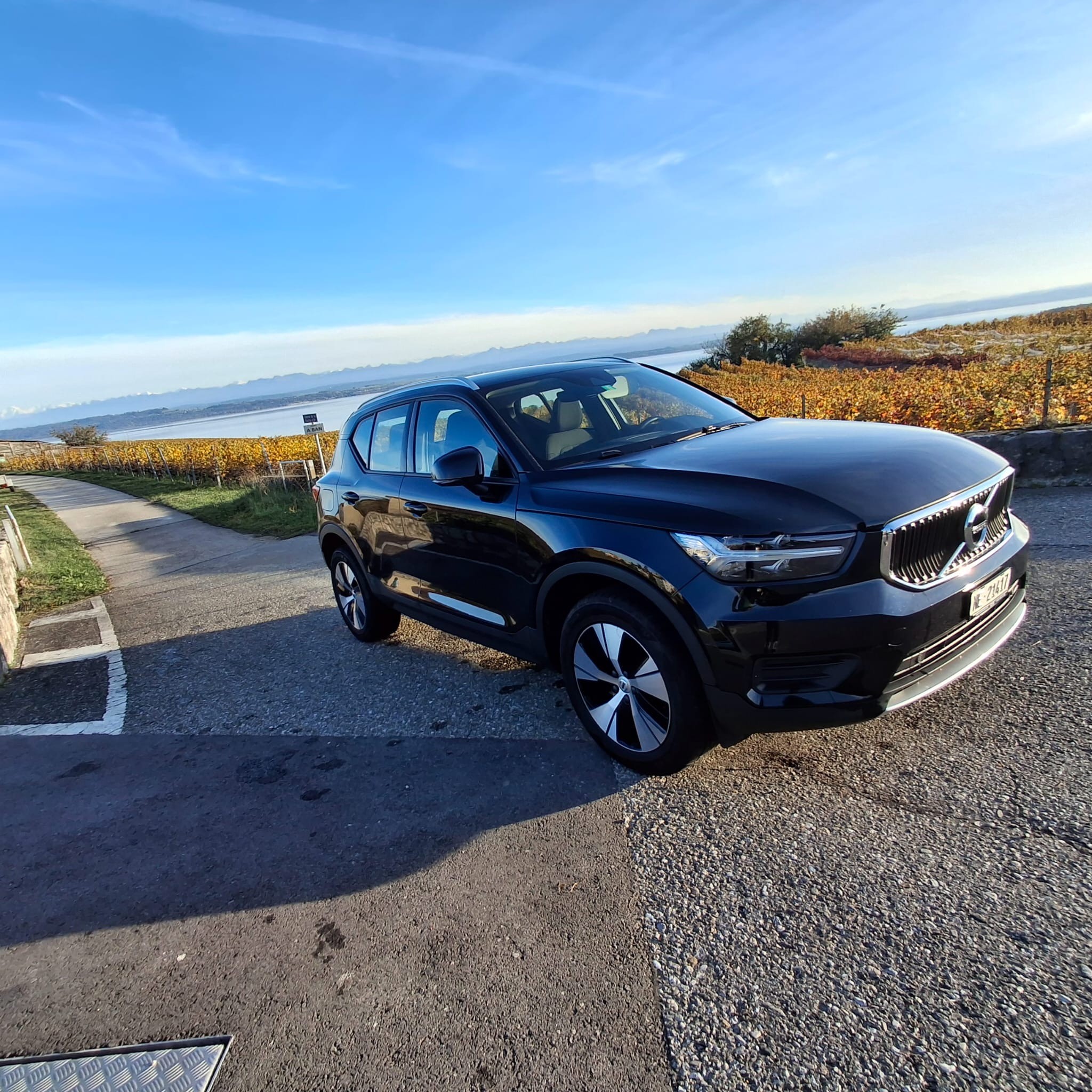 VOLVO XC40 T2 Momentum Light Geartronic