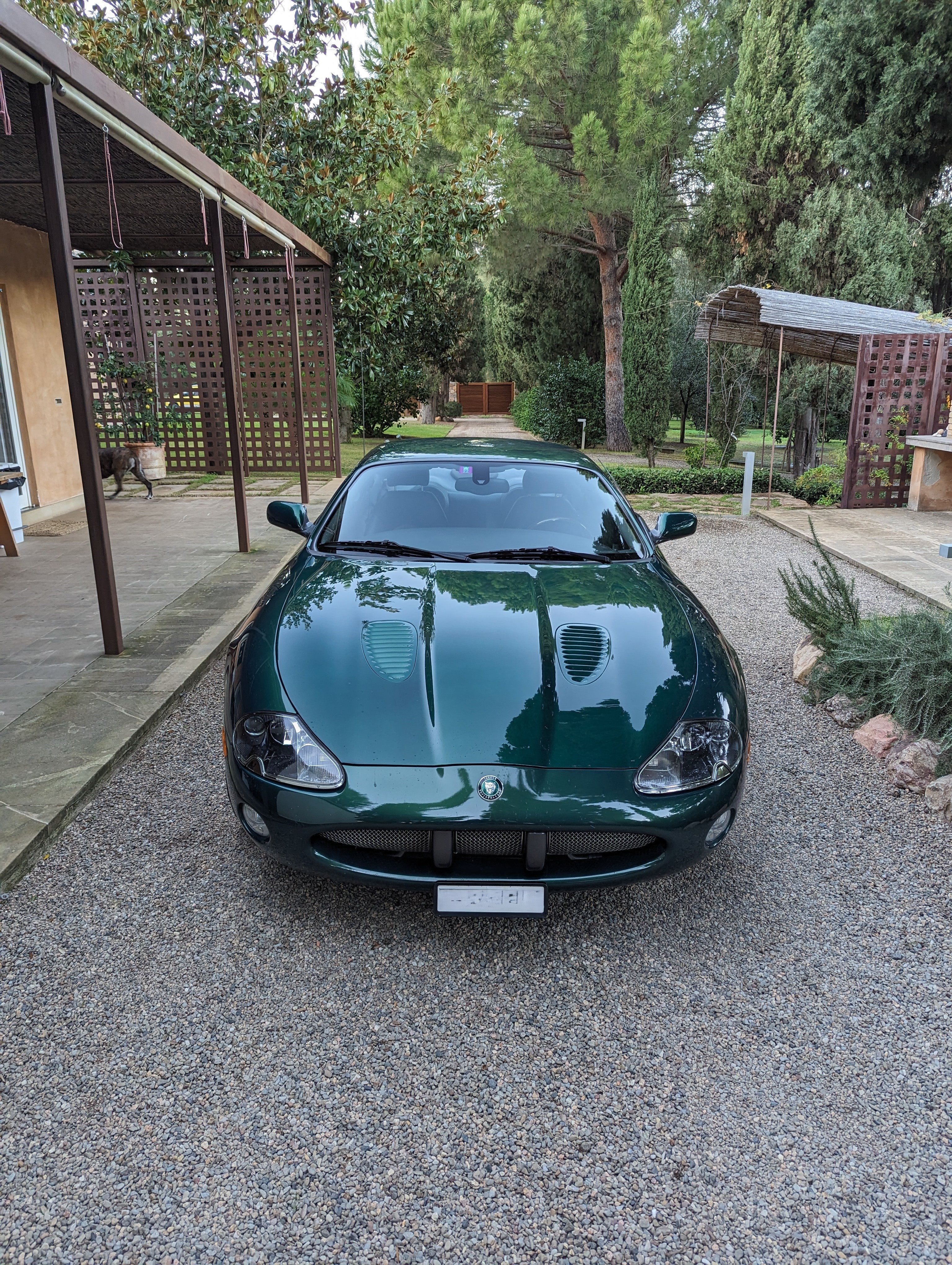 JAGUAR XKR S/C