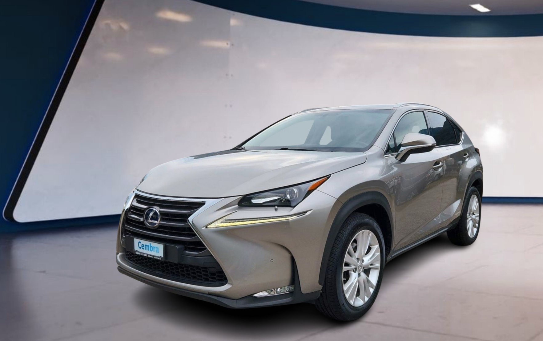 LEXUS NX 300h excellence E-Four Automatic