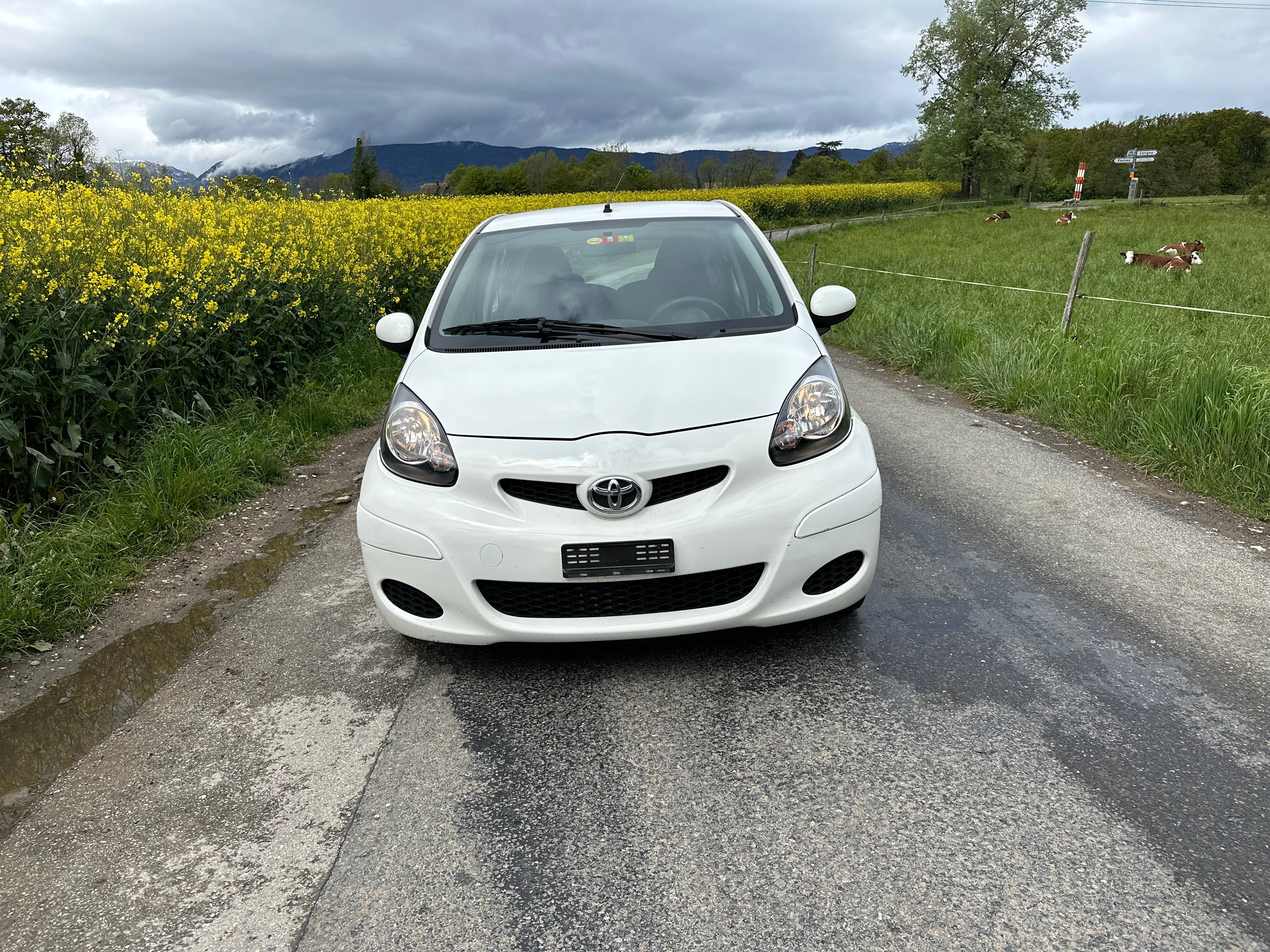 TOYOTA Aygo 1.0 Linea Terra