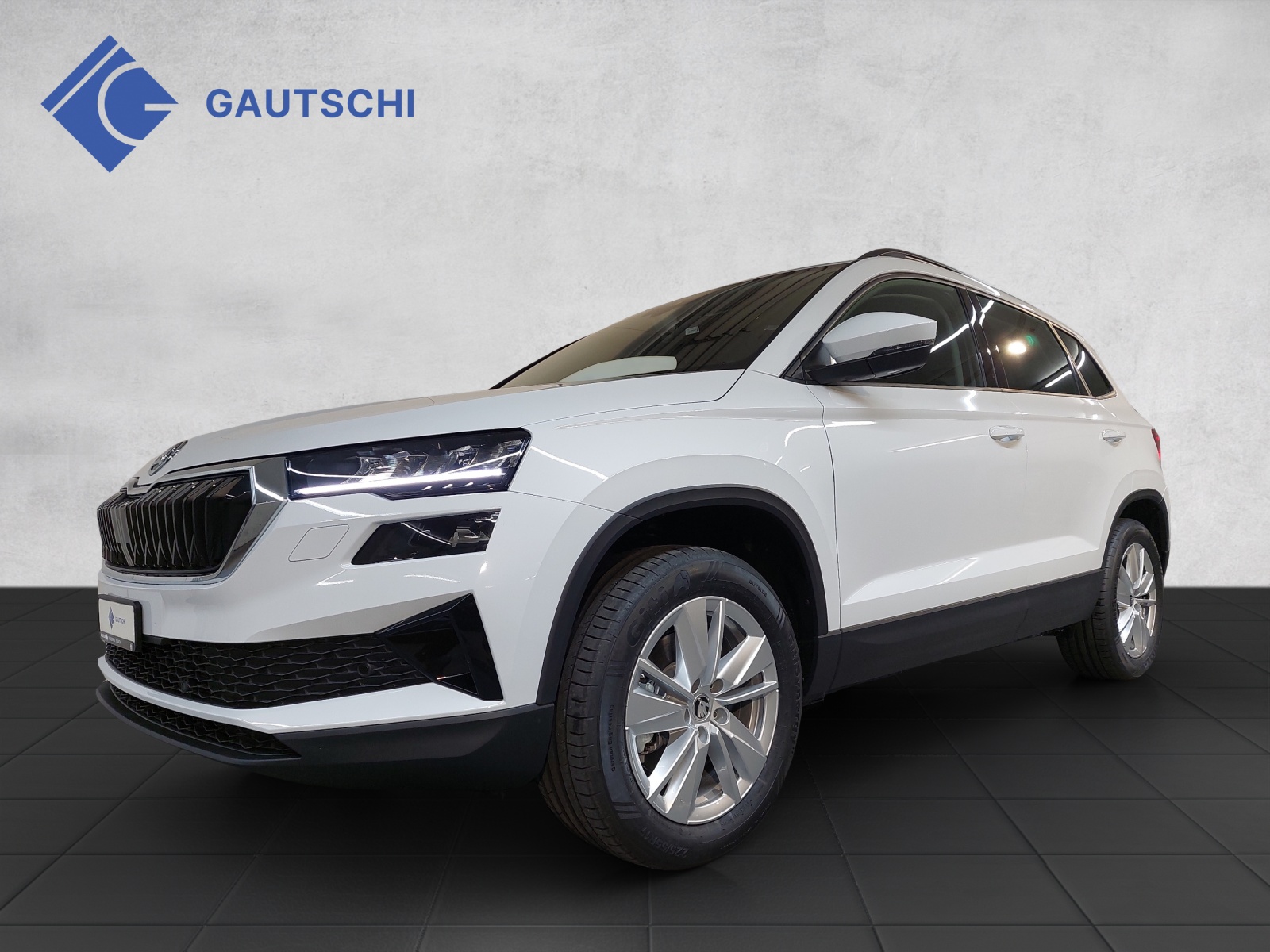 SKODA Karoq 2.0 TDI CR Selection 4x4 DSG