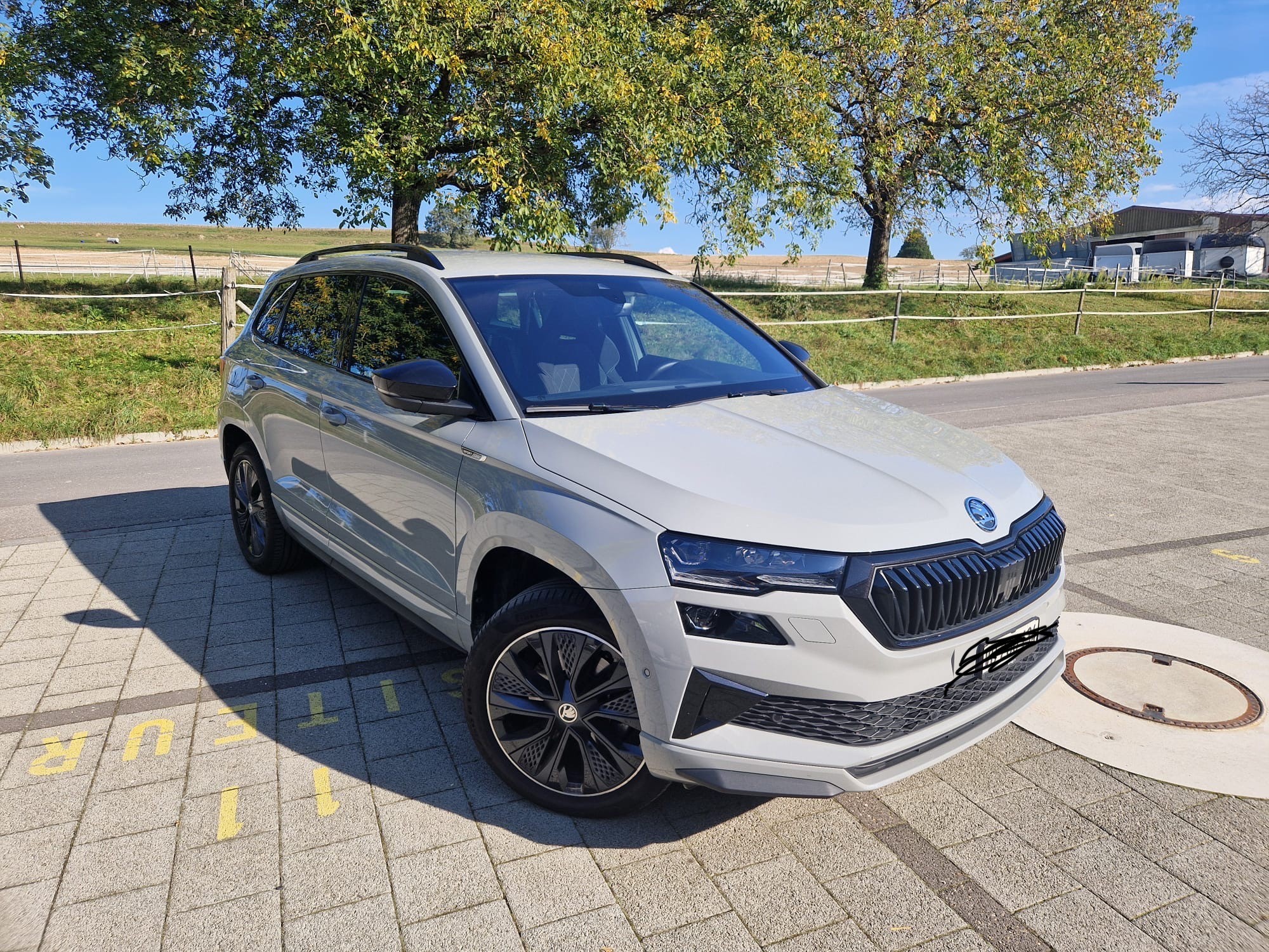 SKODA Karoq 2.0 TSI SportLine 4x4 DSG