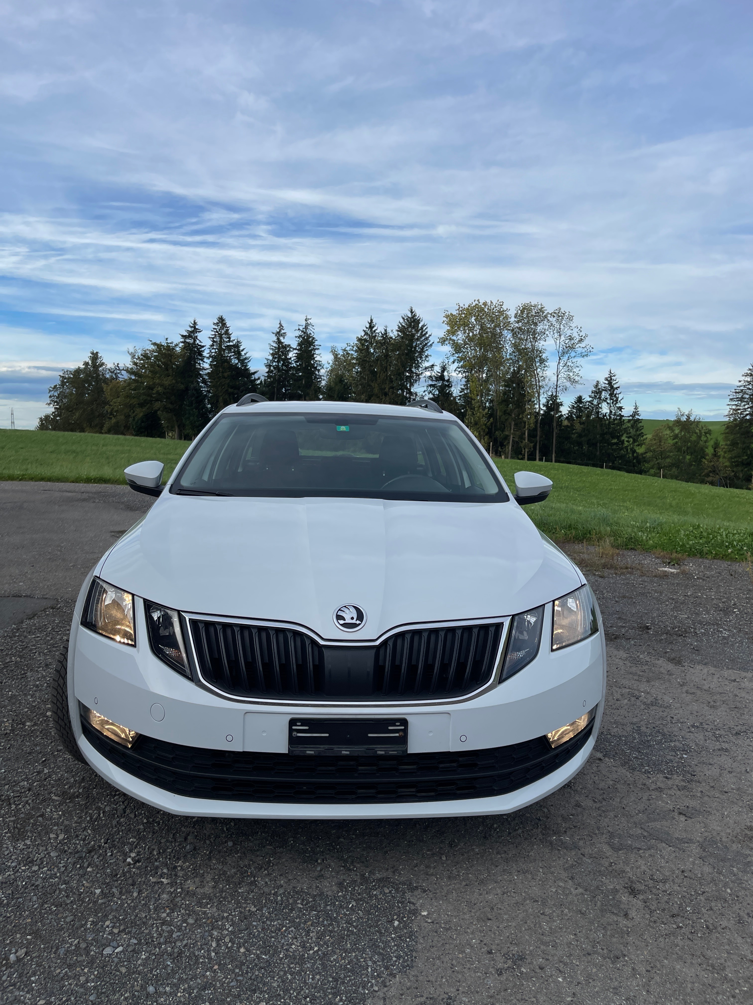 SKODA Octavia Combi 2.0 TDI Ambition 4x4