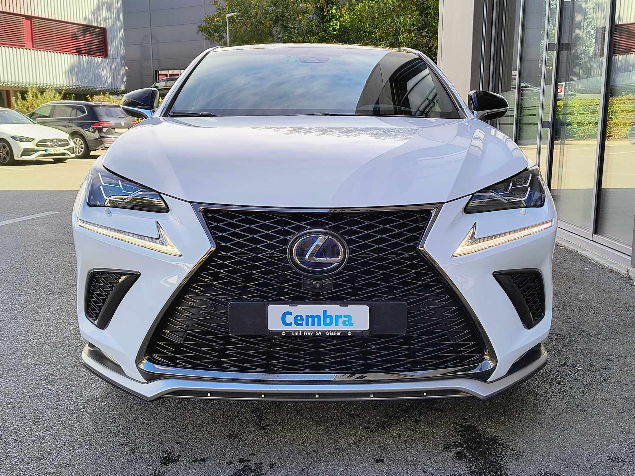 LEXUS NX 300h F-Sport E-Four Automatic