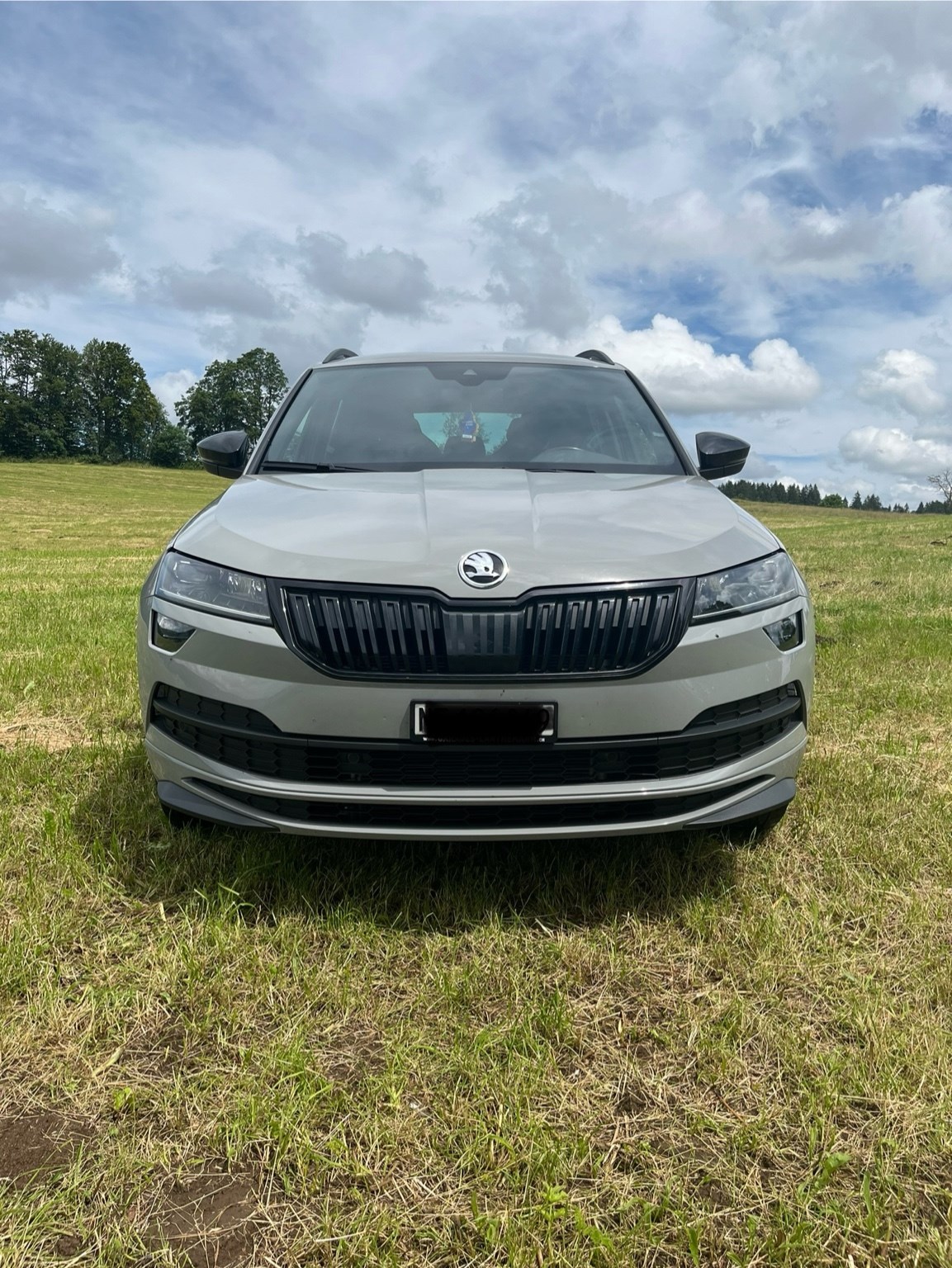 SKODA Karoq 2.0 TSI SportLine 4x4 DSG