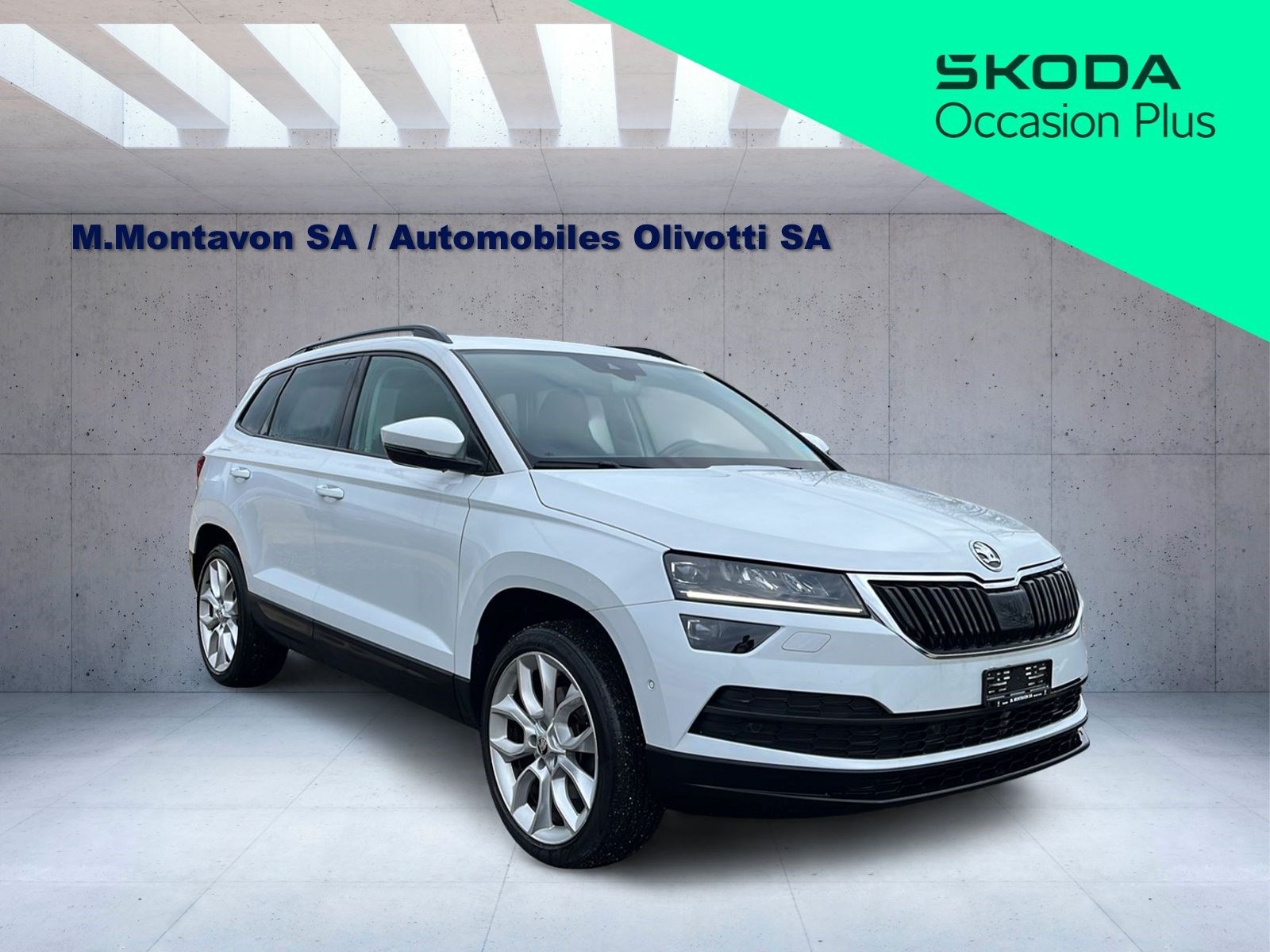 SKODA Karoq 2.0 TDI CR Style 4x4 DSG