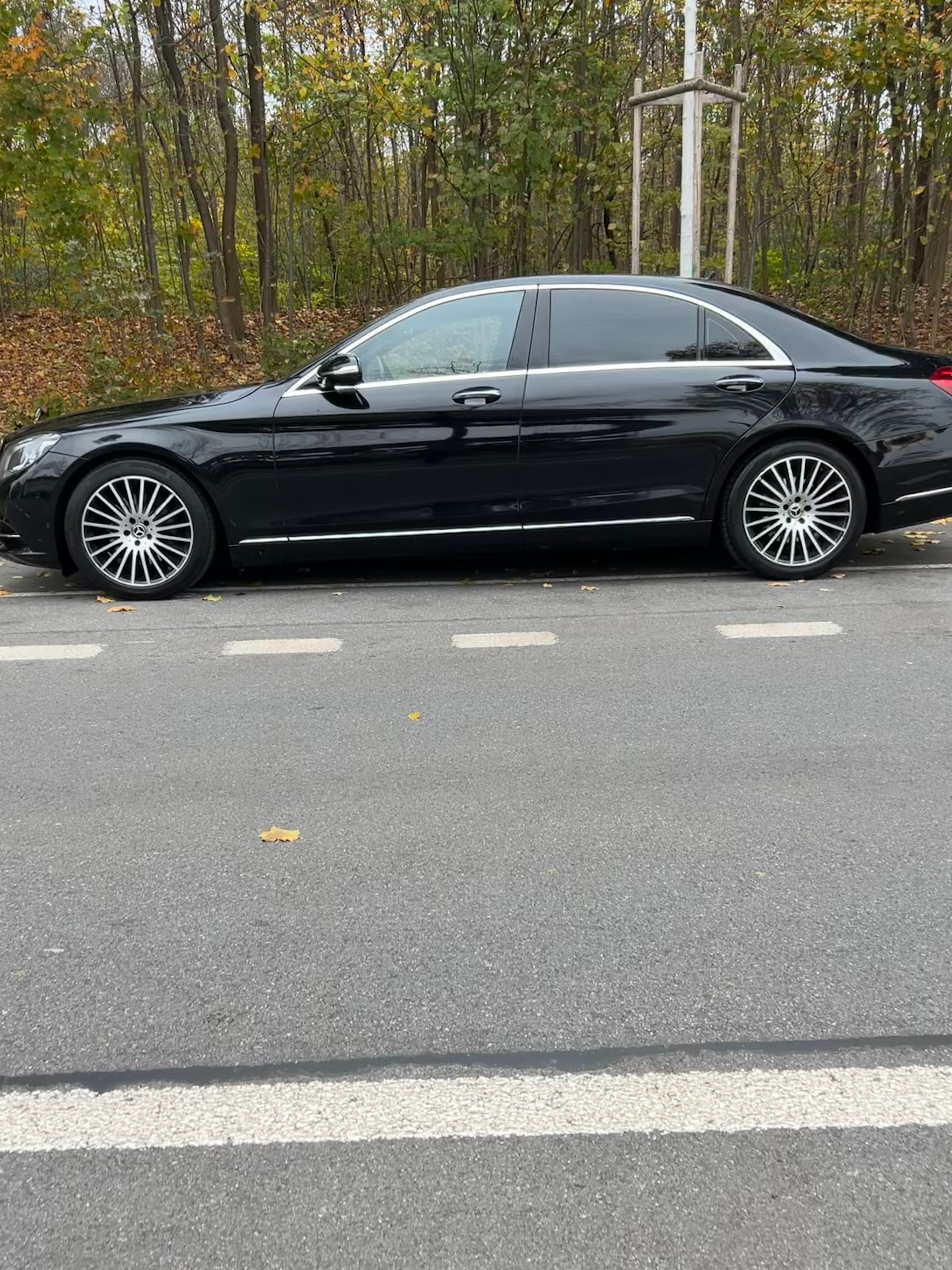 MERCEDES-BENZ S 350 BlueTEC 4Matic 7G-Tronic