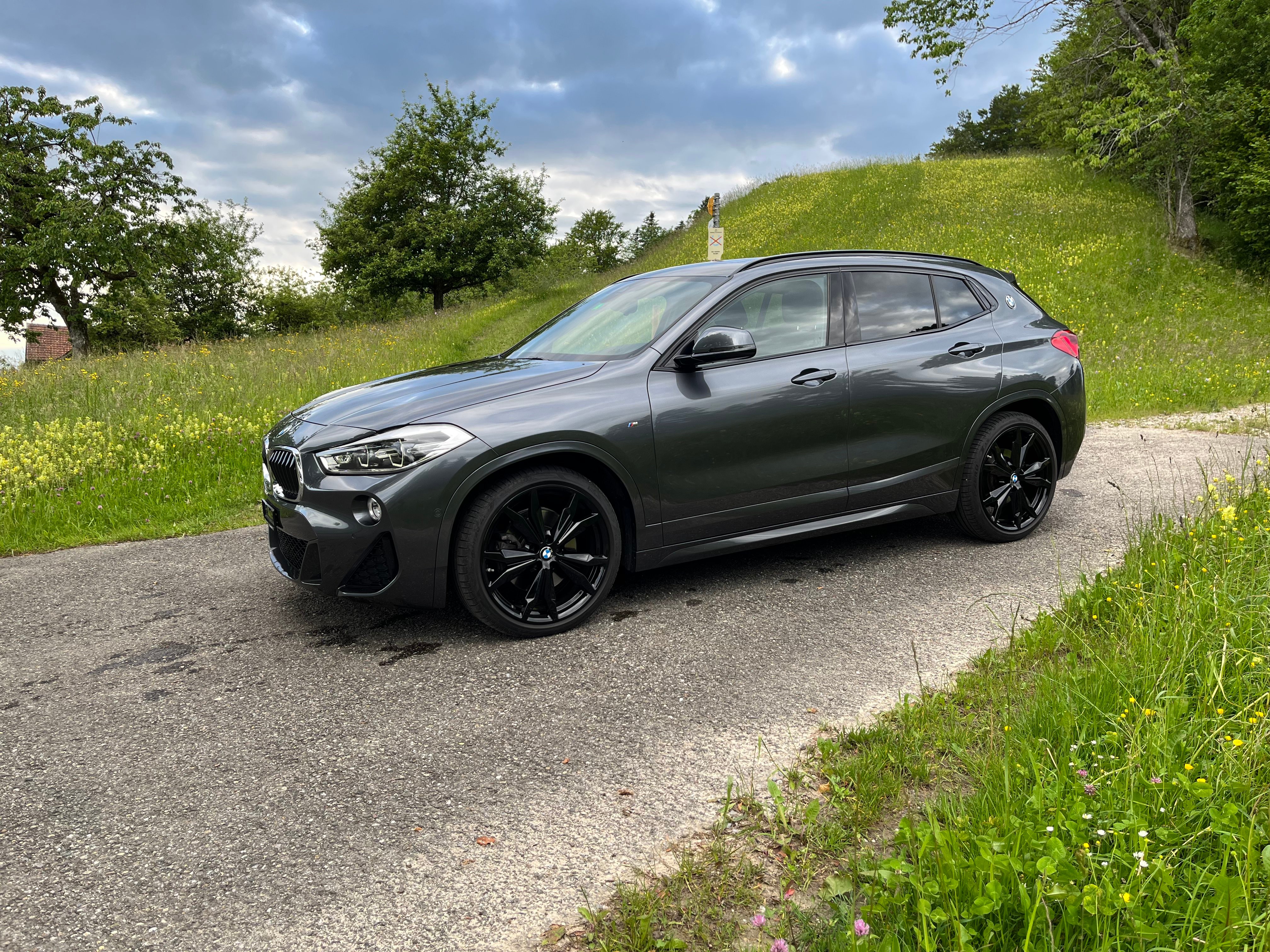 BMW X2 xDrive 20d M Sport Steptronic