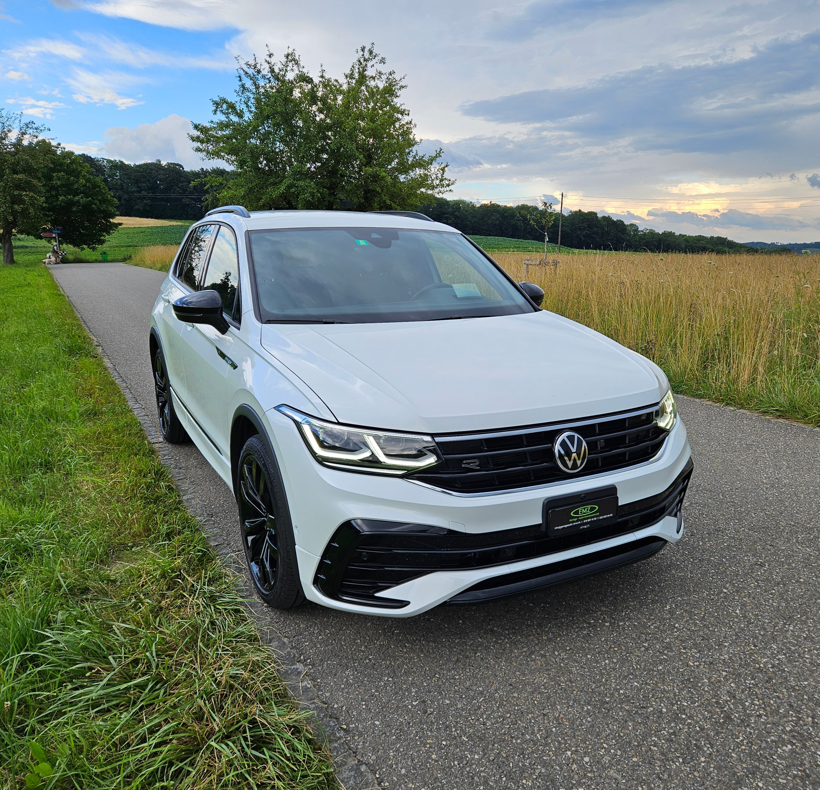 VW Tiguan 2.0TSI R-Line 4Motion DSG