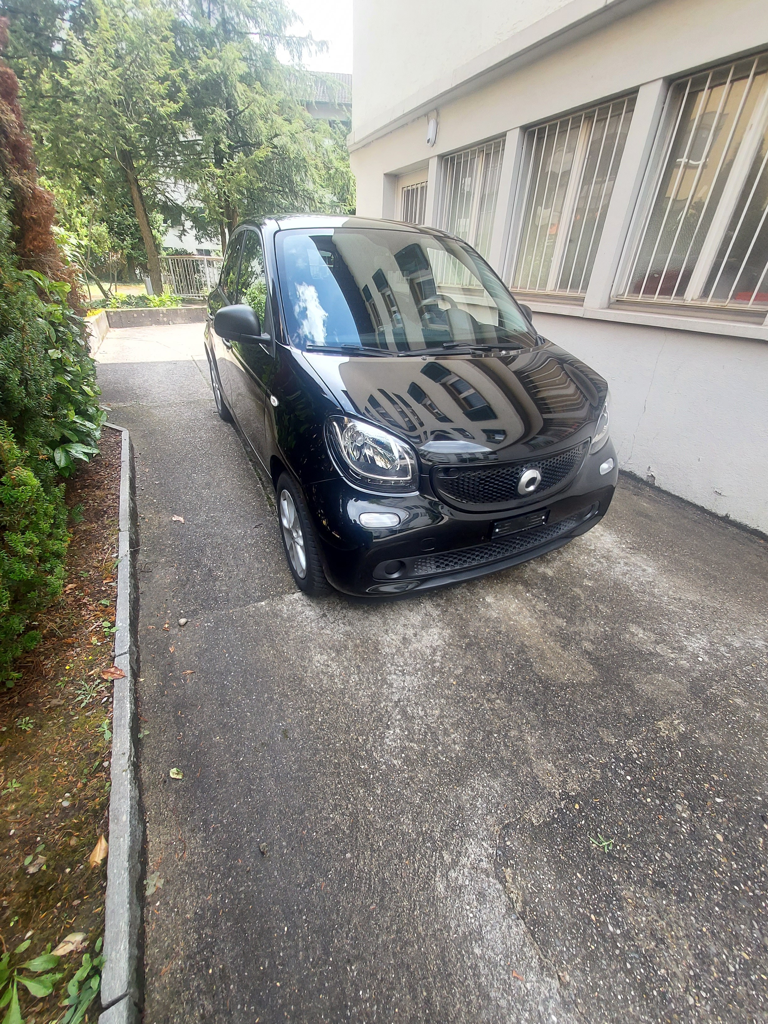 SMART forfour twinamic