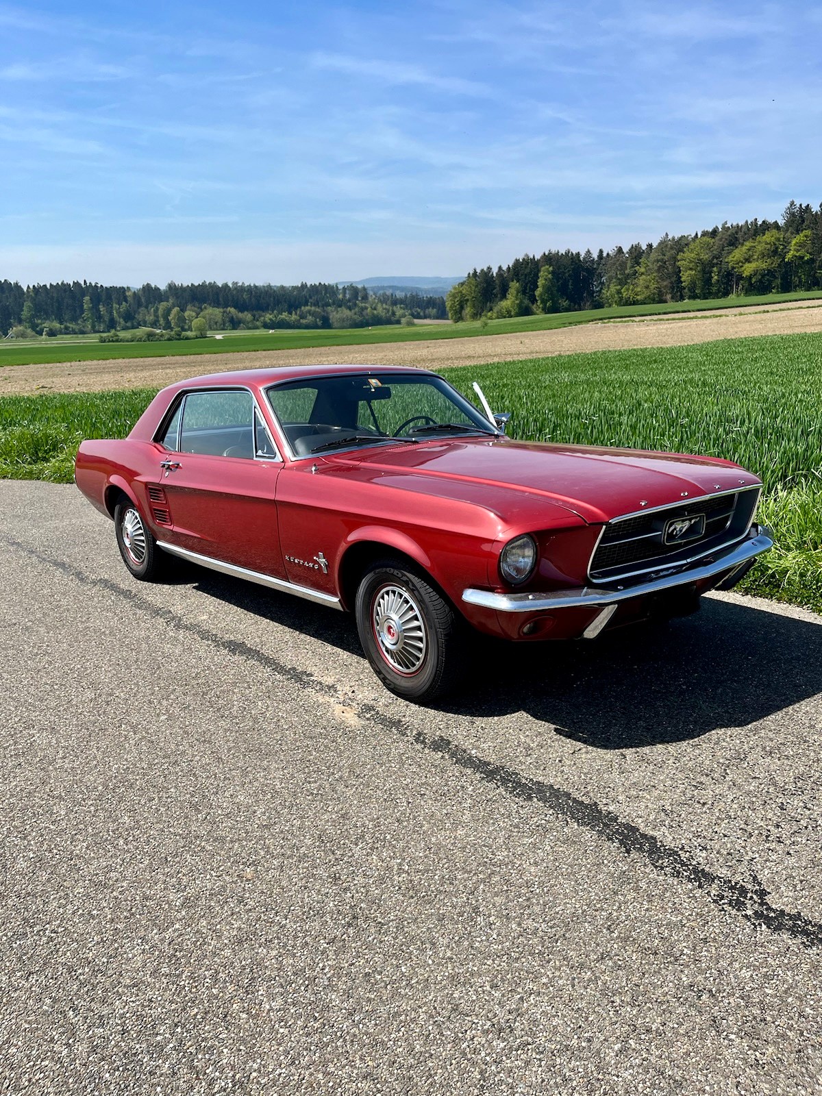 FORD Mustang 1967 Oldtimer