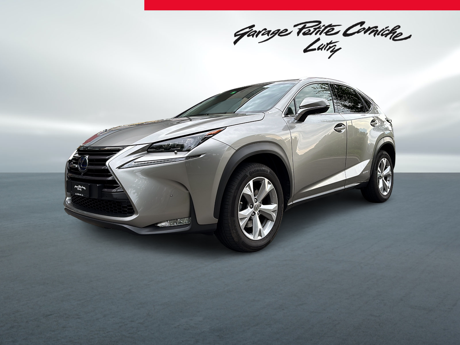 LEXUS NX 300h excellence E-Four Automatic