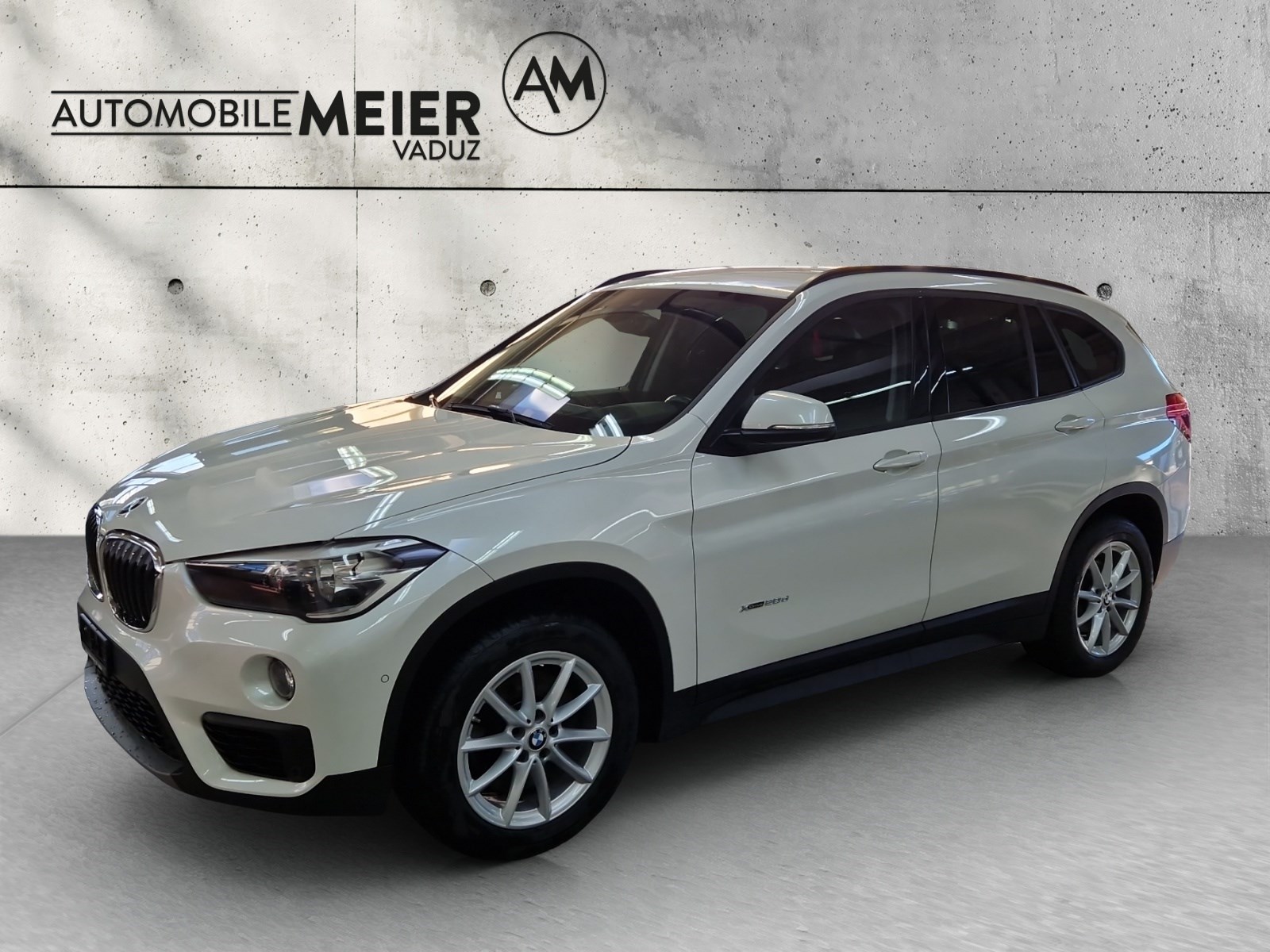 BMW X1 F48 20d xDrive