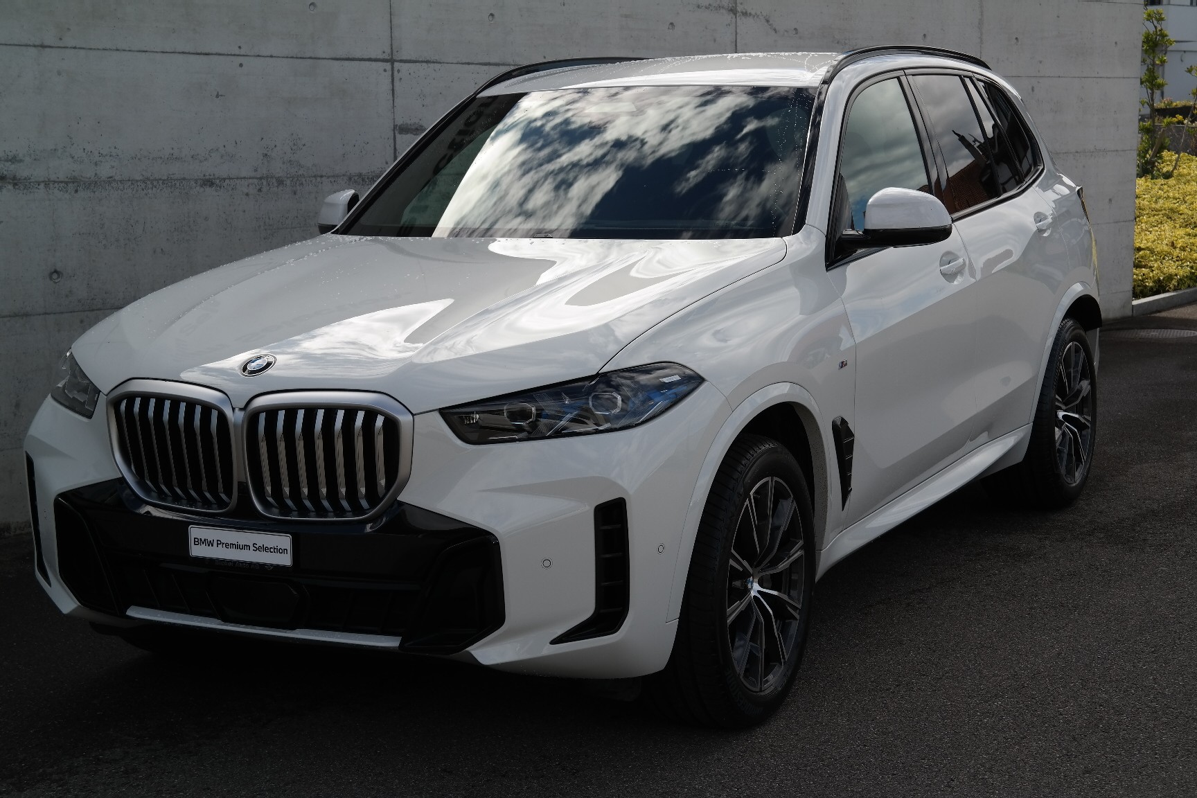 BMW X5 xDrive 48V 30d M Sport Steptronic