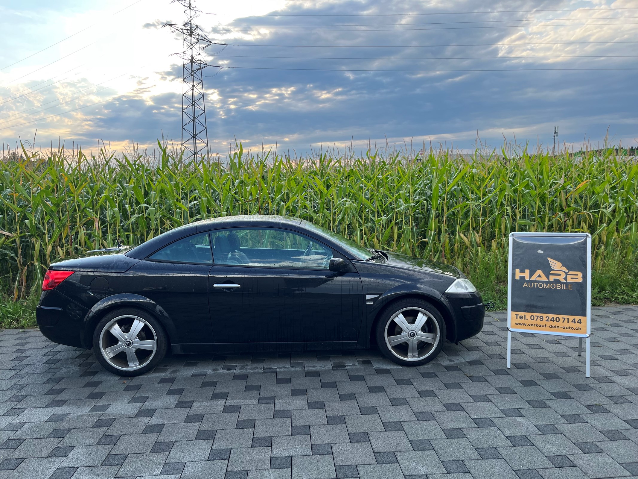 RENAULT Mégane C-C 2.0 16V T Privilège Luxe