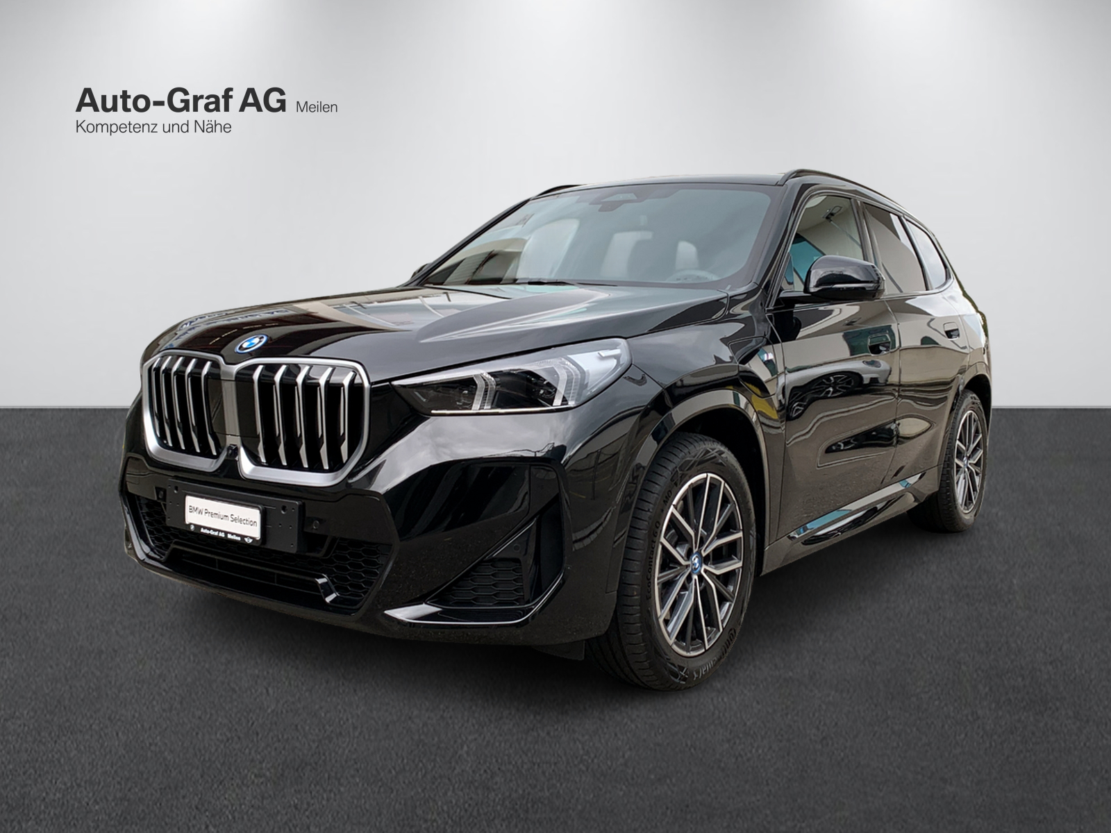 BMW X1 xDrive 25e M Sport