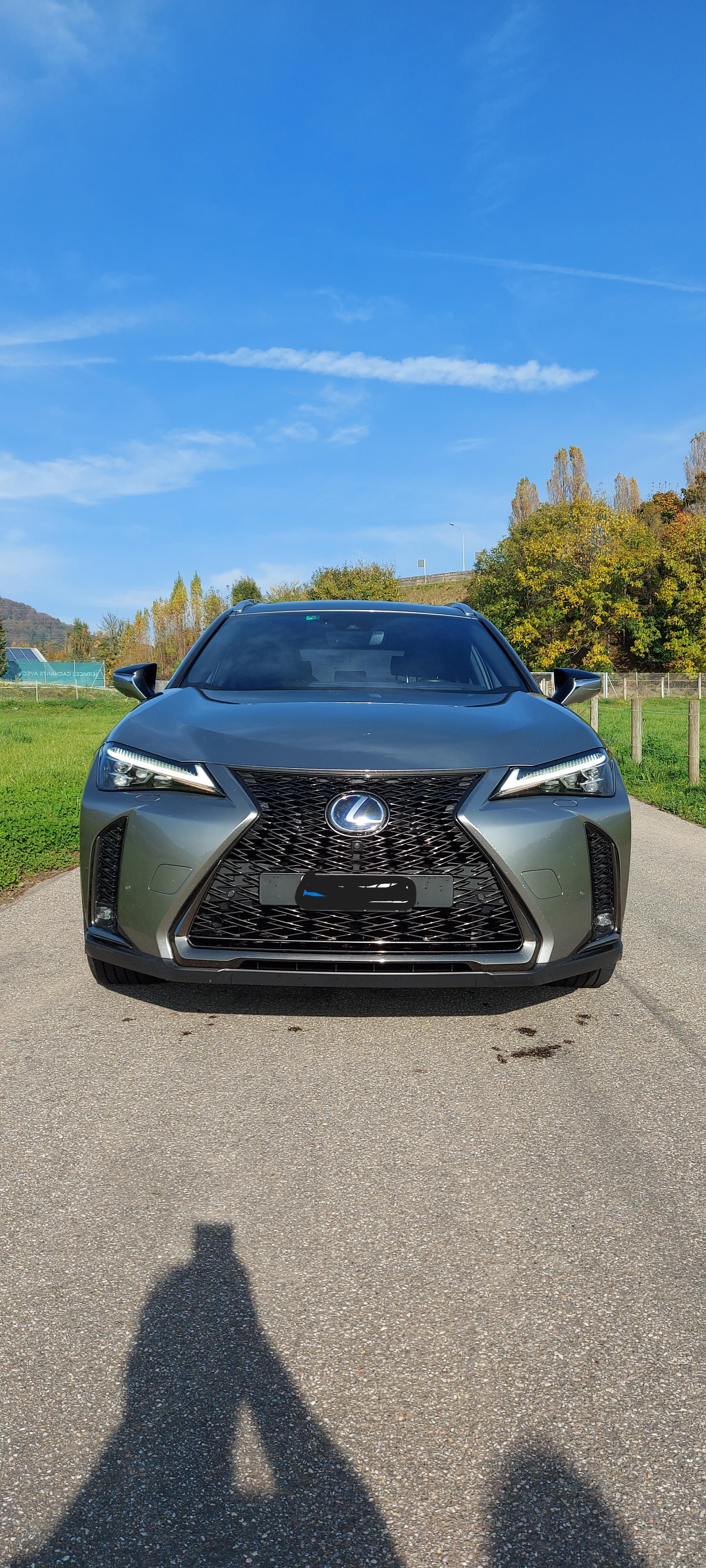 LEXUS UX 250h F Sport AWD Automatic