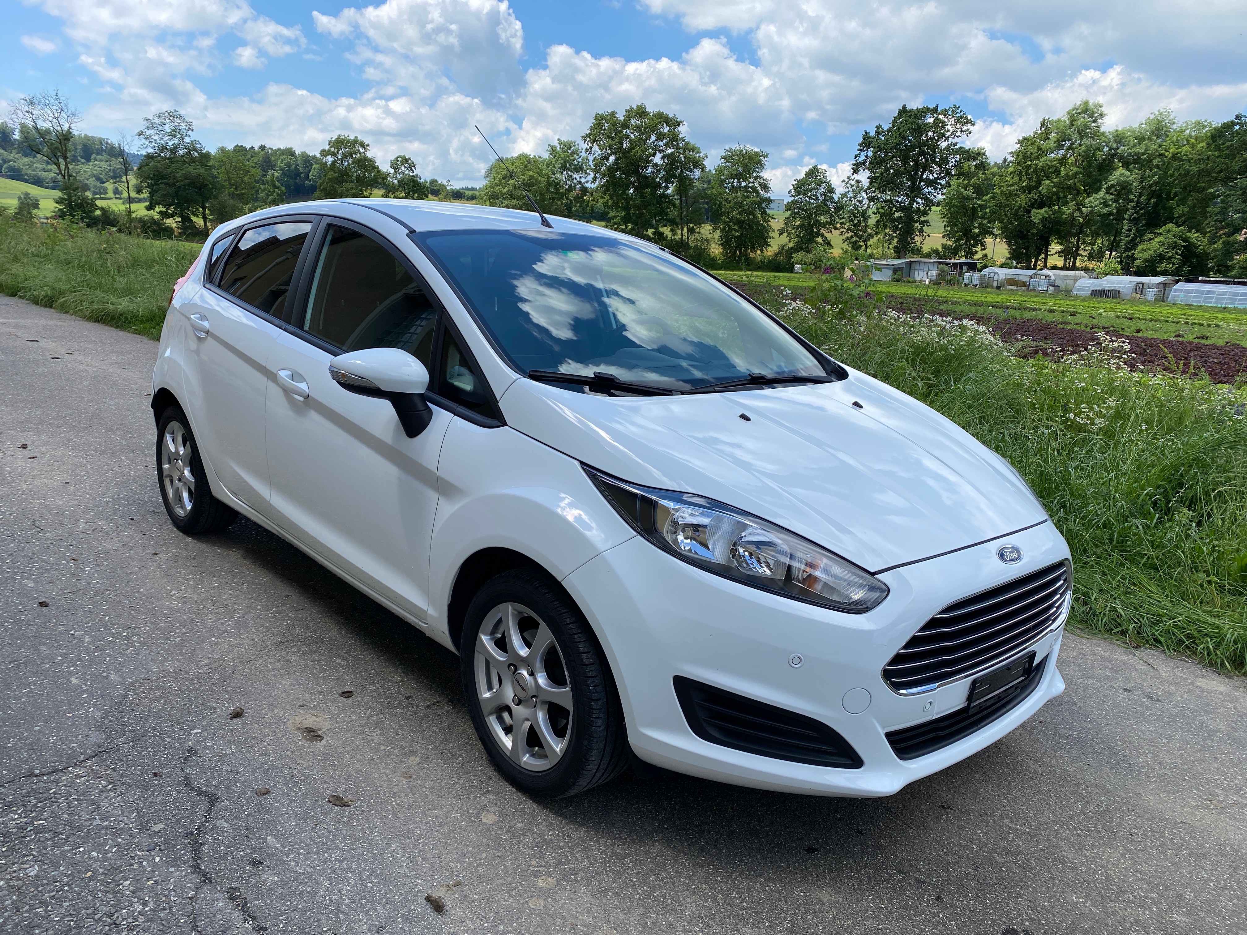 FORD Fiesta 1.0 SCTi Trend