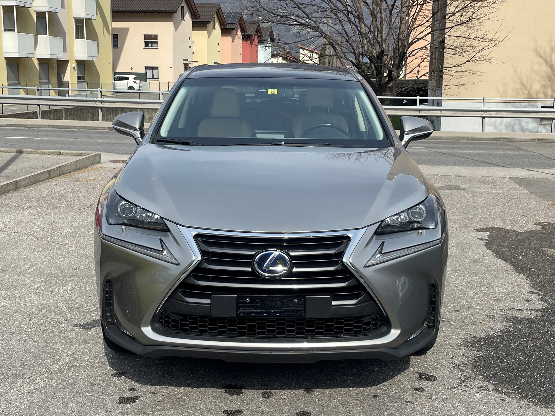 LEXUS NX 300h excellence E-Four Automatic