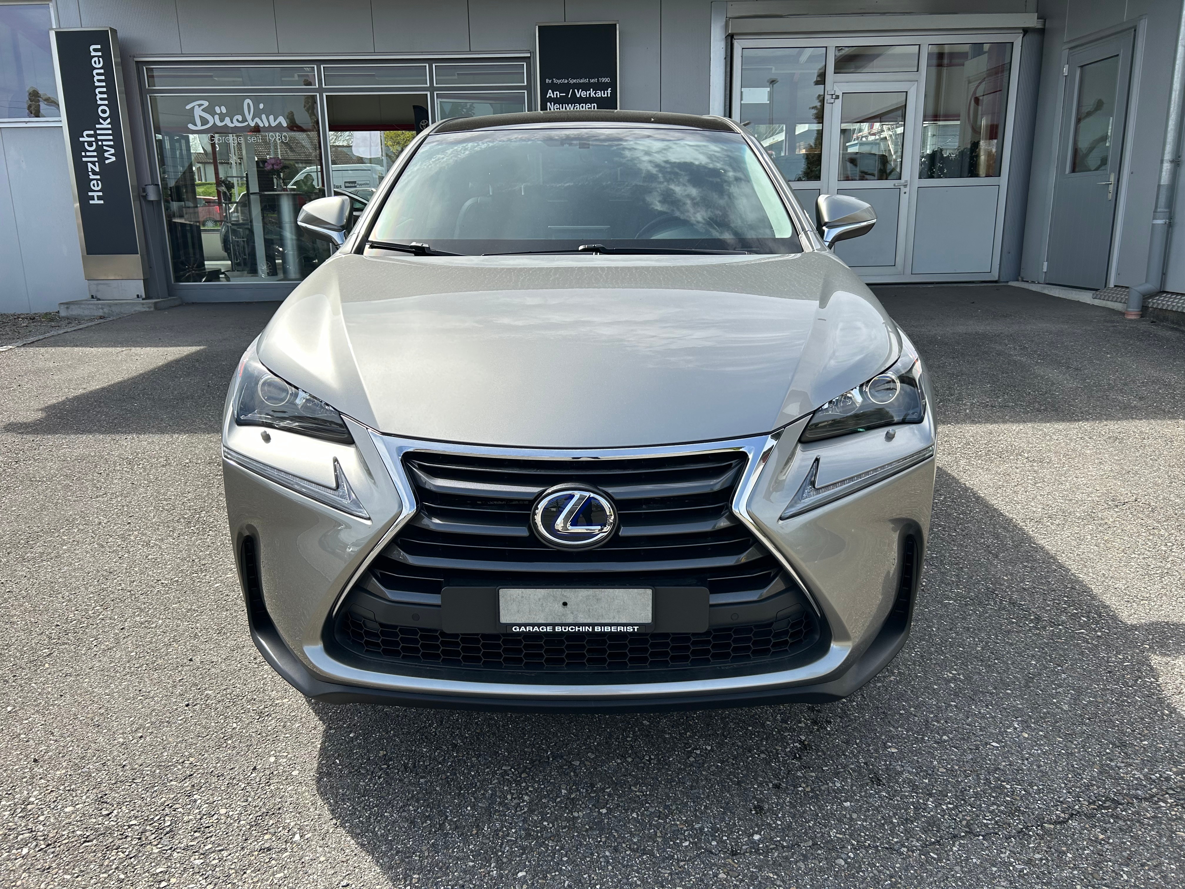 LEXUS NX 300h comfort E-Four Automatic