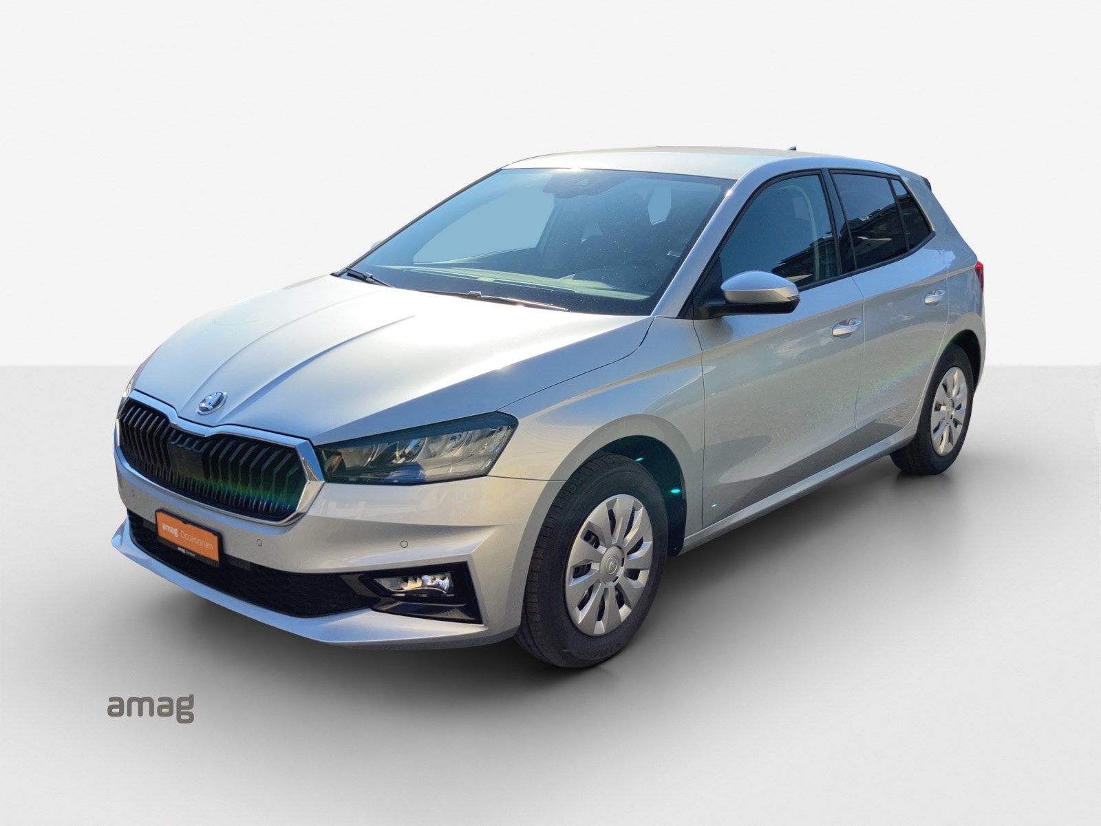 SKODA Fabia 1.0 TSI Selection