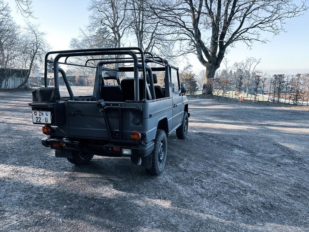 MERCEDES-BENZ G 250 461 Wolf Cabrio ex. D-Bundeswehr